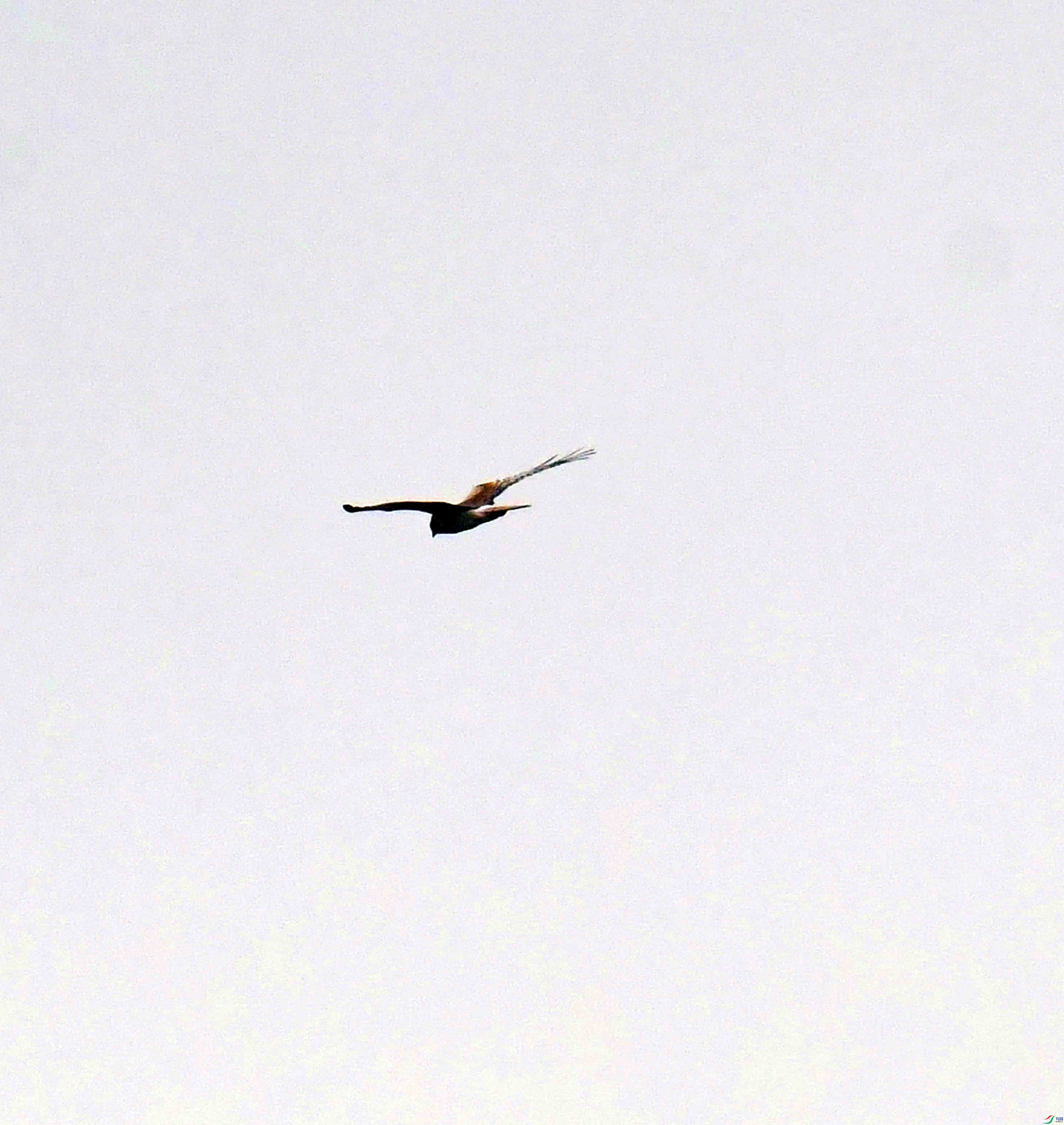 DSC_9992.JPG