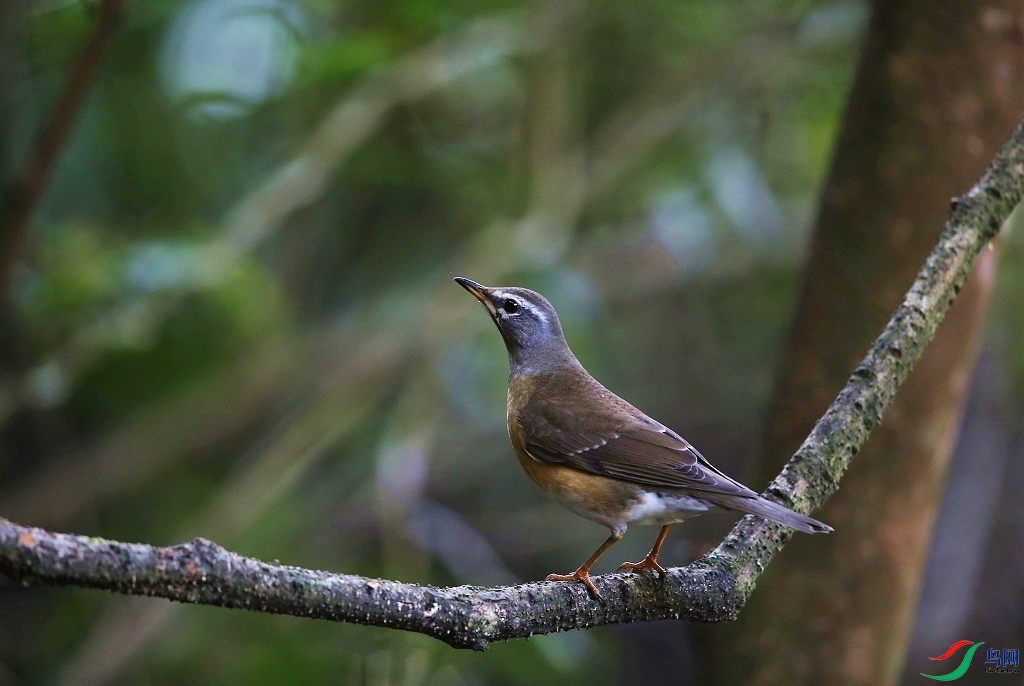 ���� IMGL9601.JPG