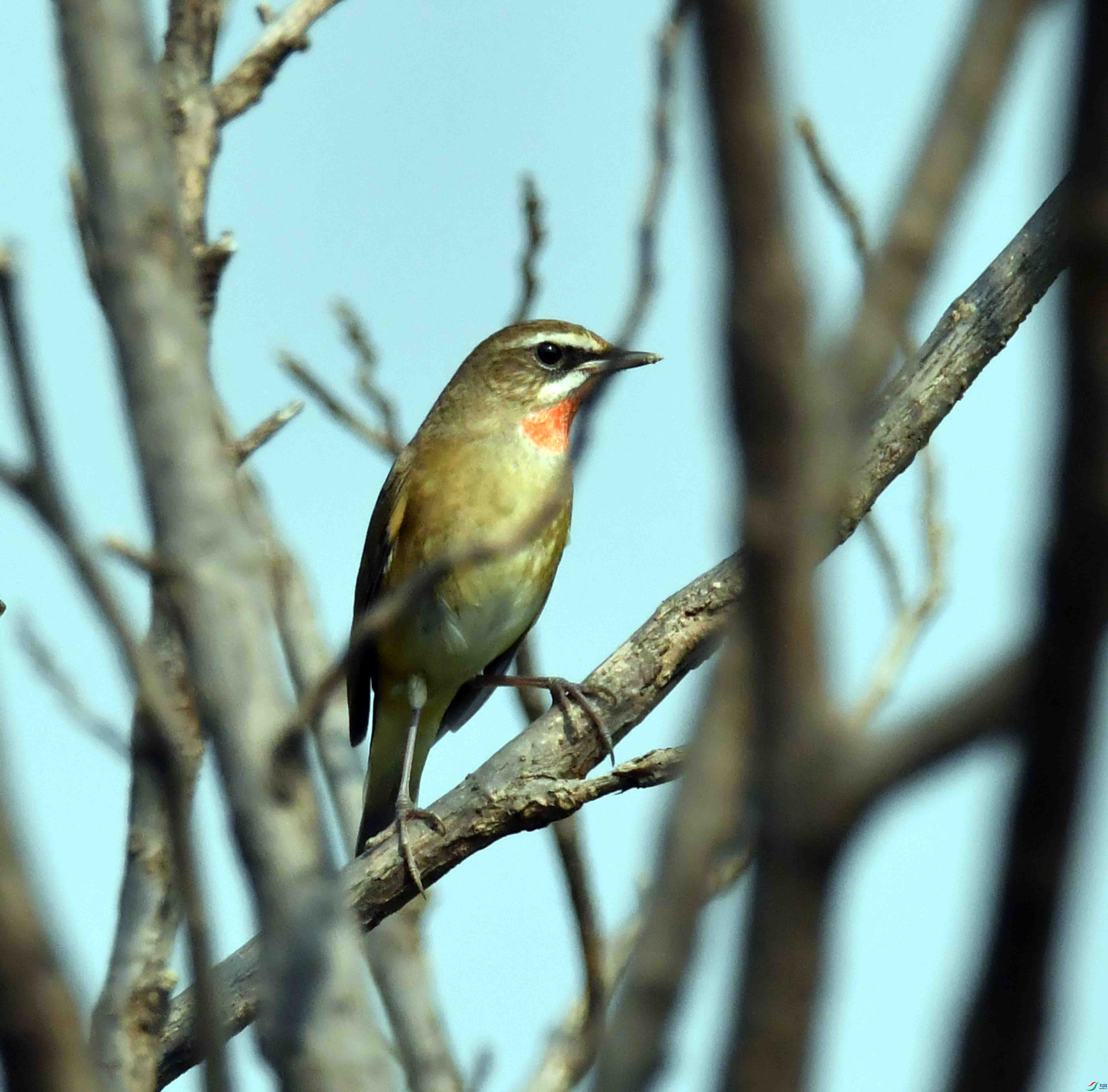DSC_3289.JPG