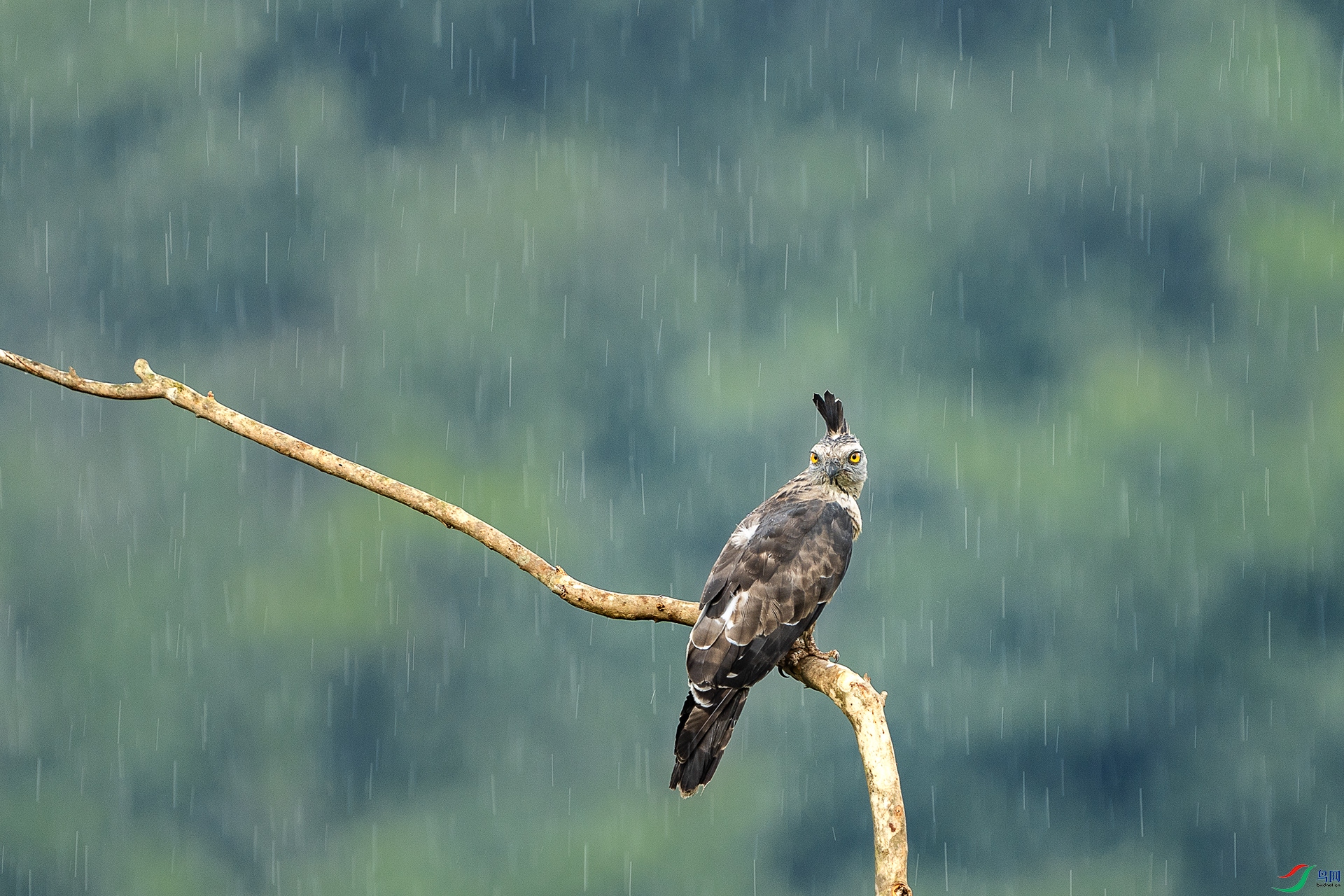 DSC06397 ����111.jpg