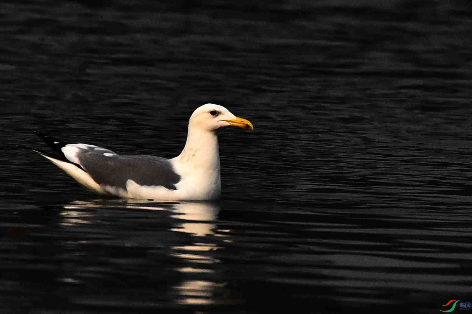 DSC_4905.JPG