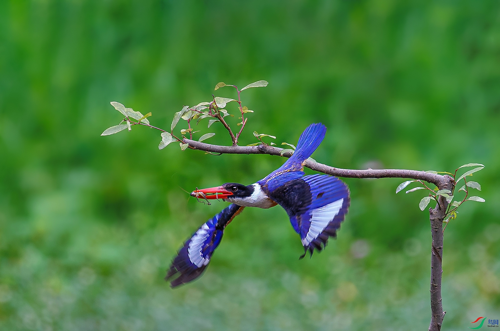 _8352 ����.jpg