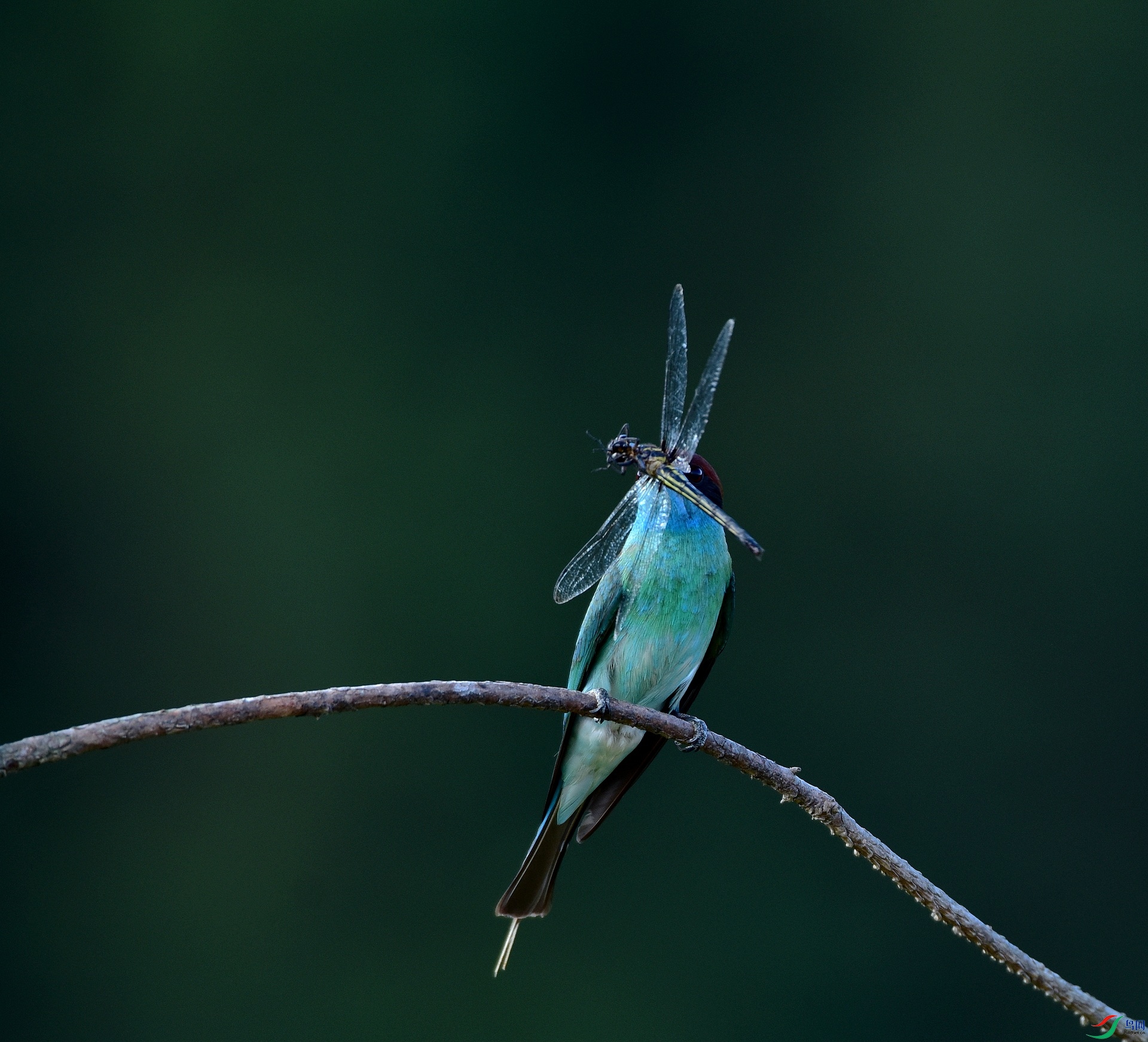 D8I_5493.jpg