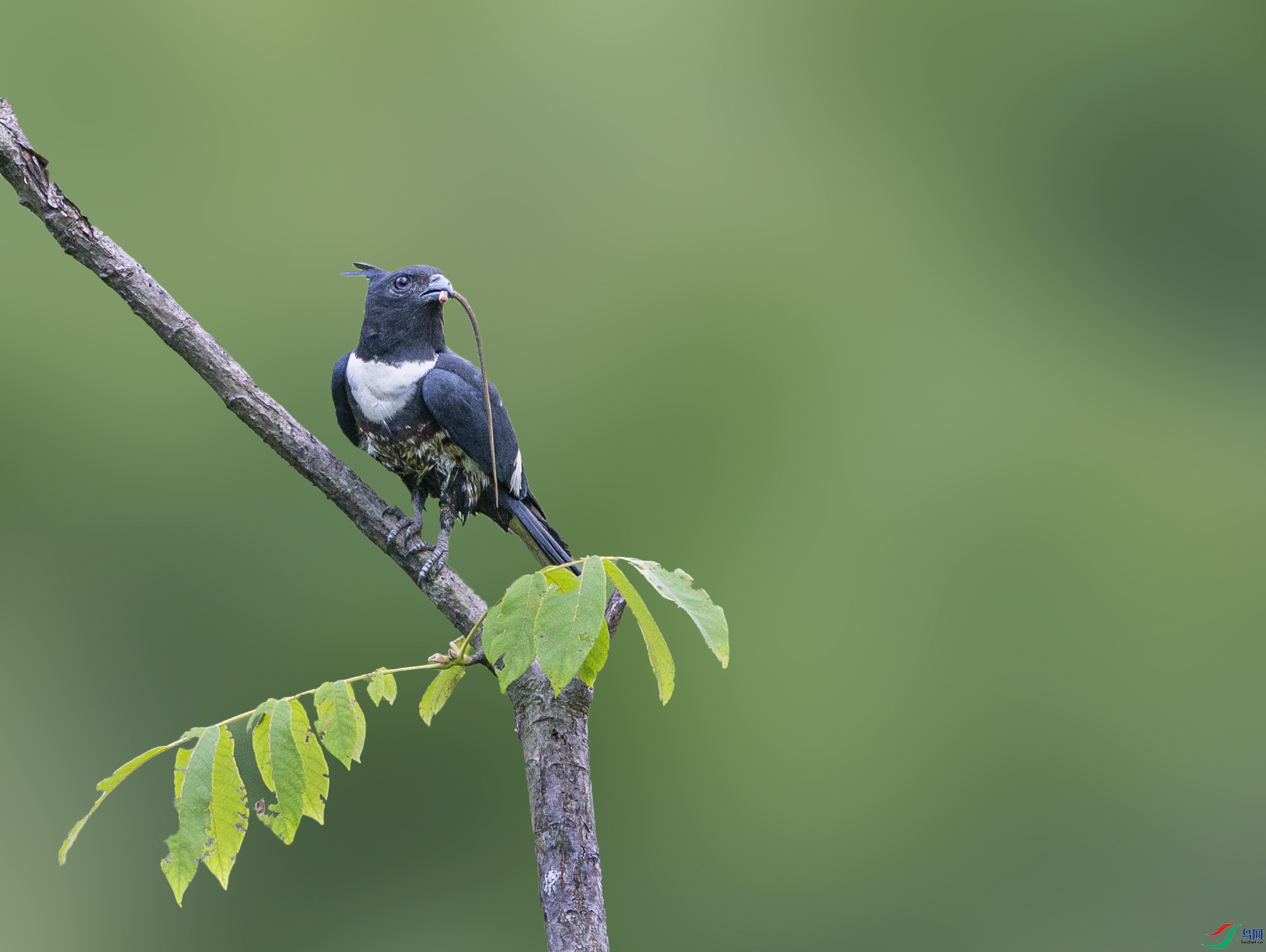 AP9T0865 ����.jpg