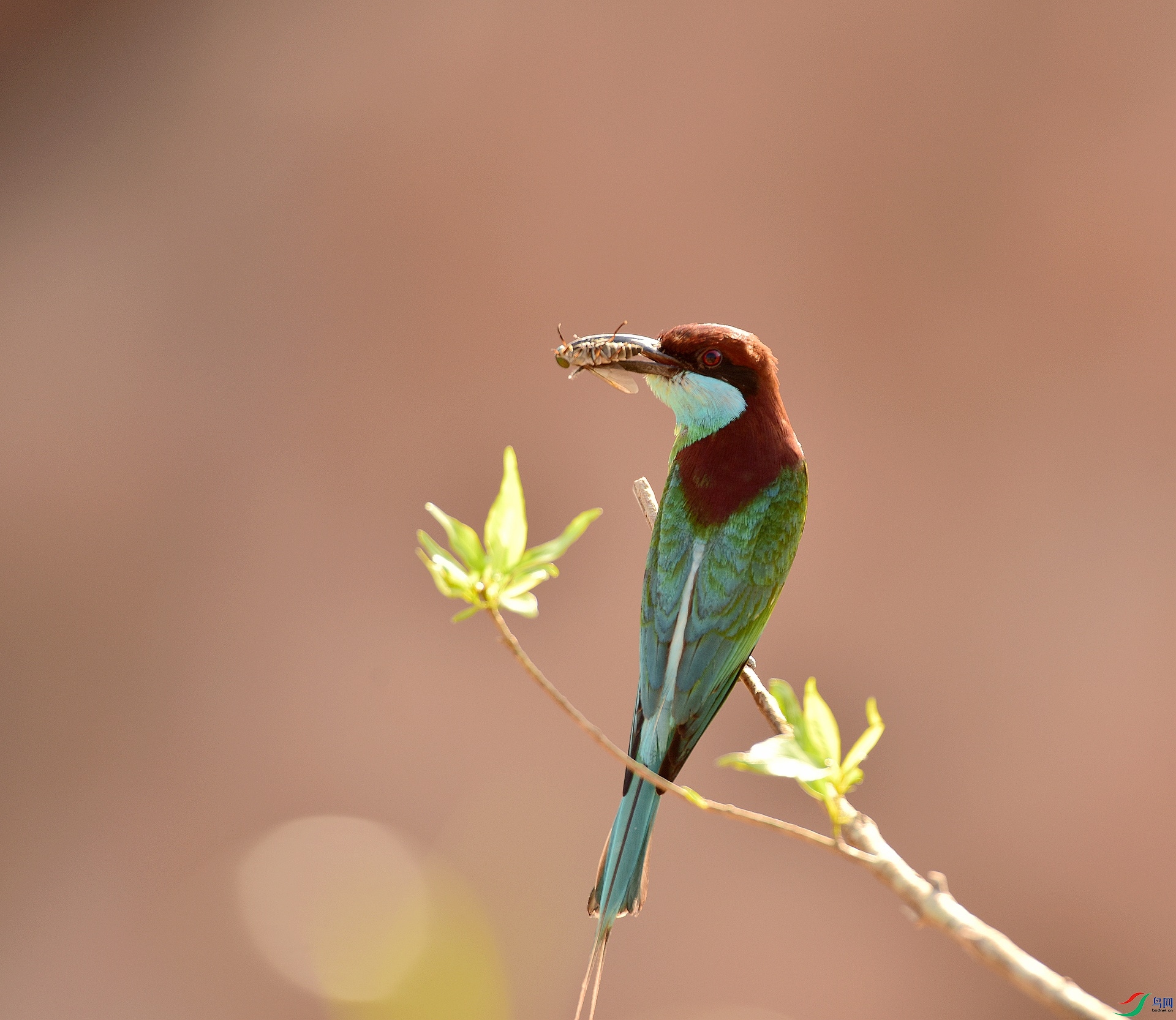 D8I_3981.jpg