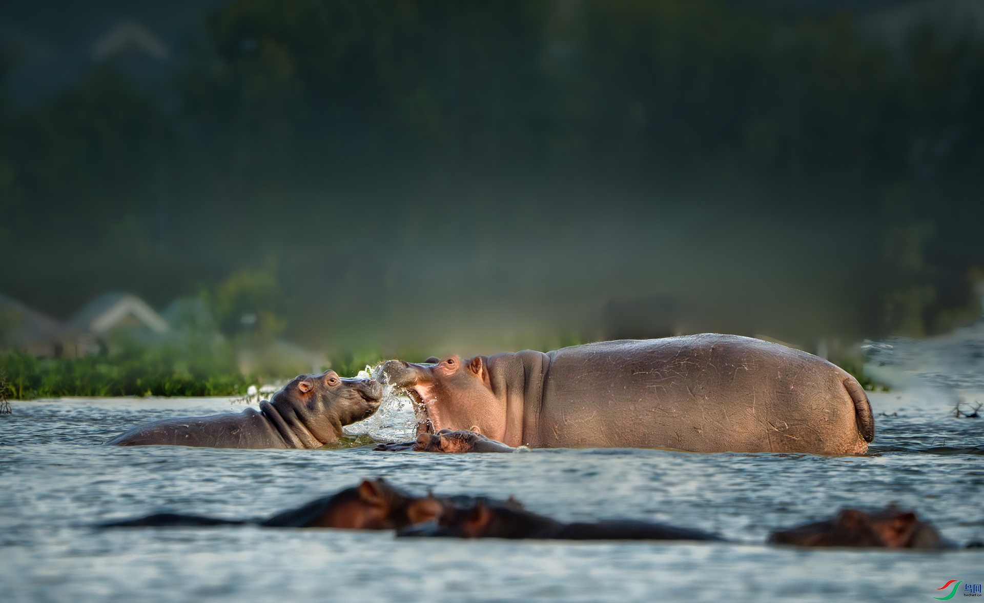 _DSC5483-����ǿ-NR ����.jpg