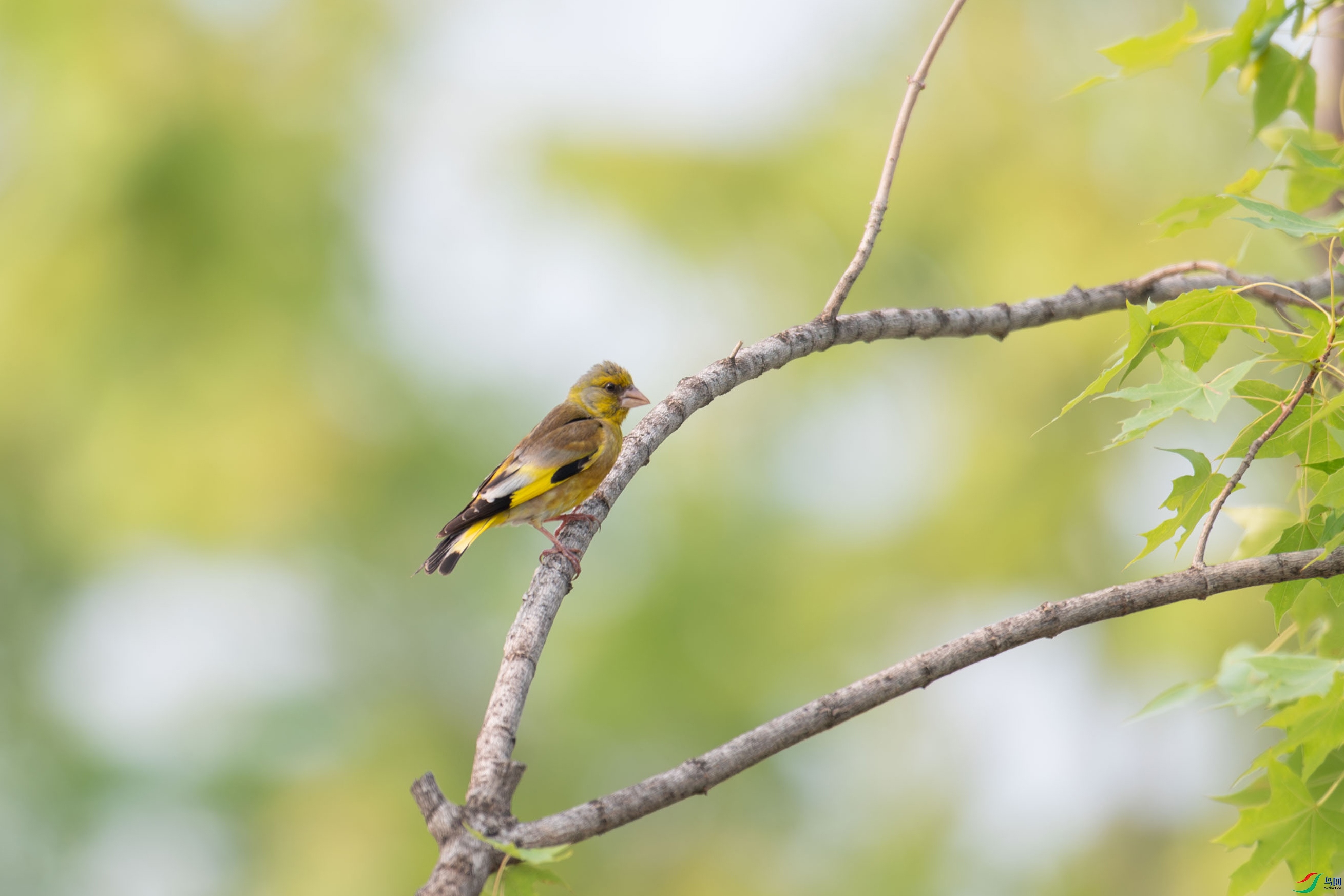 DSC_2041.jpg