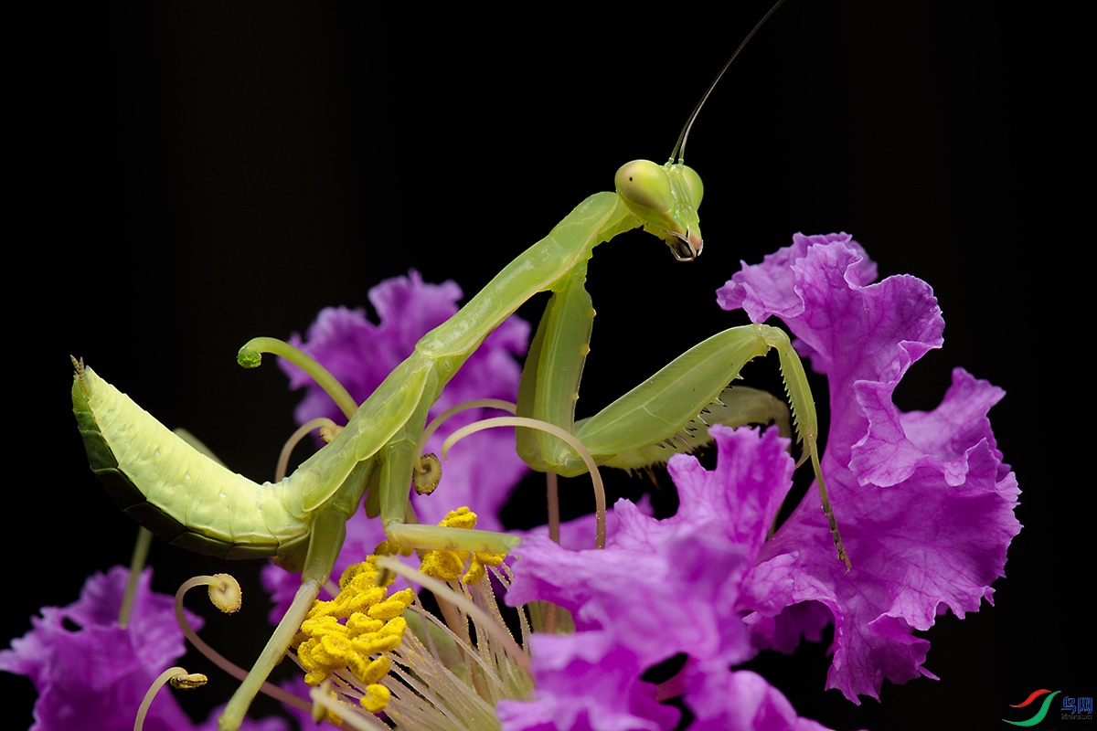 DSC_3600.jpg