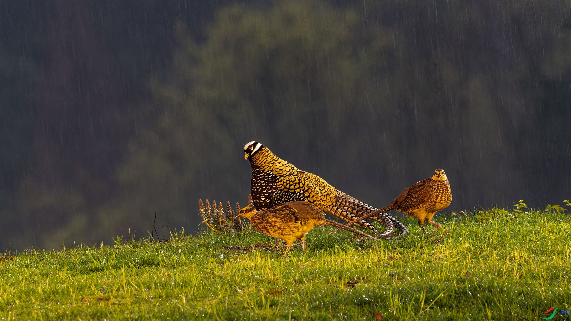 _00A3955-CR2_DxO_DeepPRIMEXD-1.jpg
