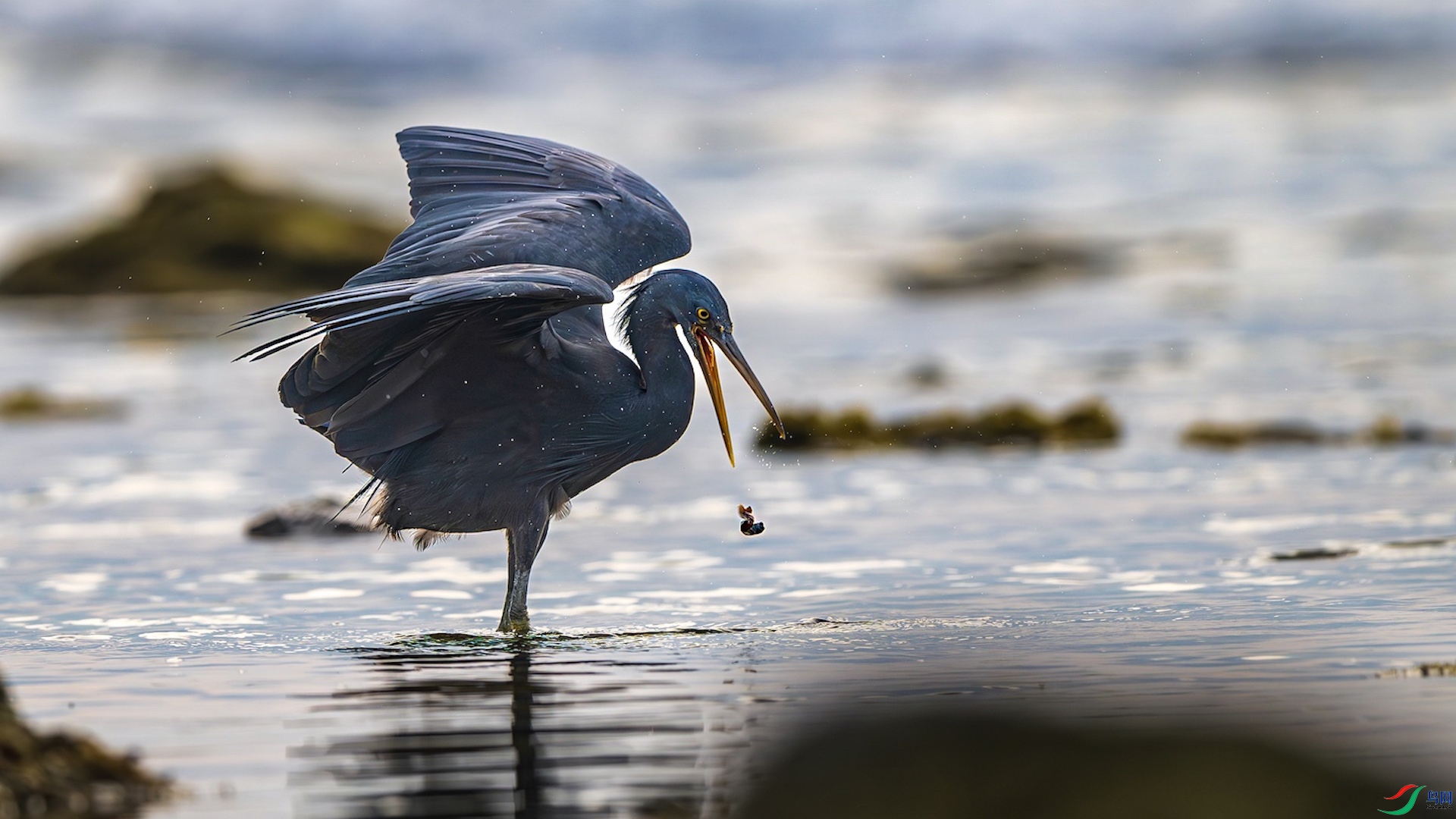 221_XXL8960-����ǿ-NR ���� 2.jpg221.jpeg