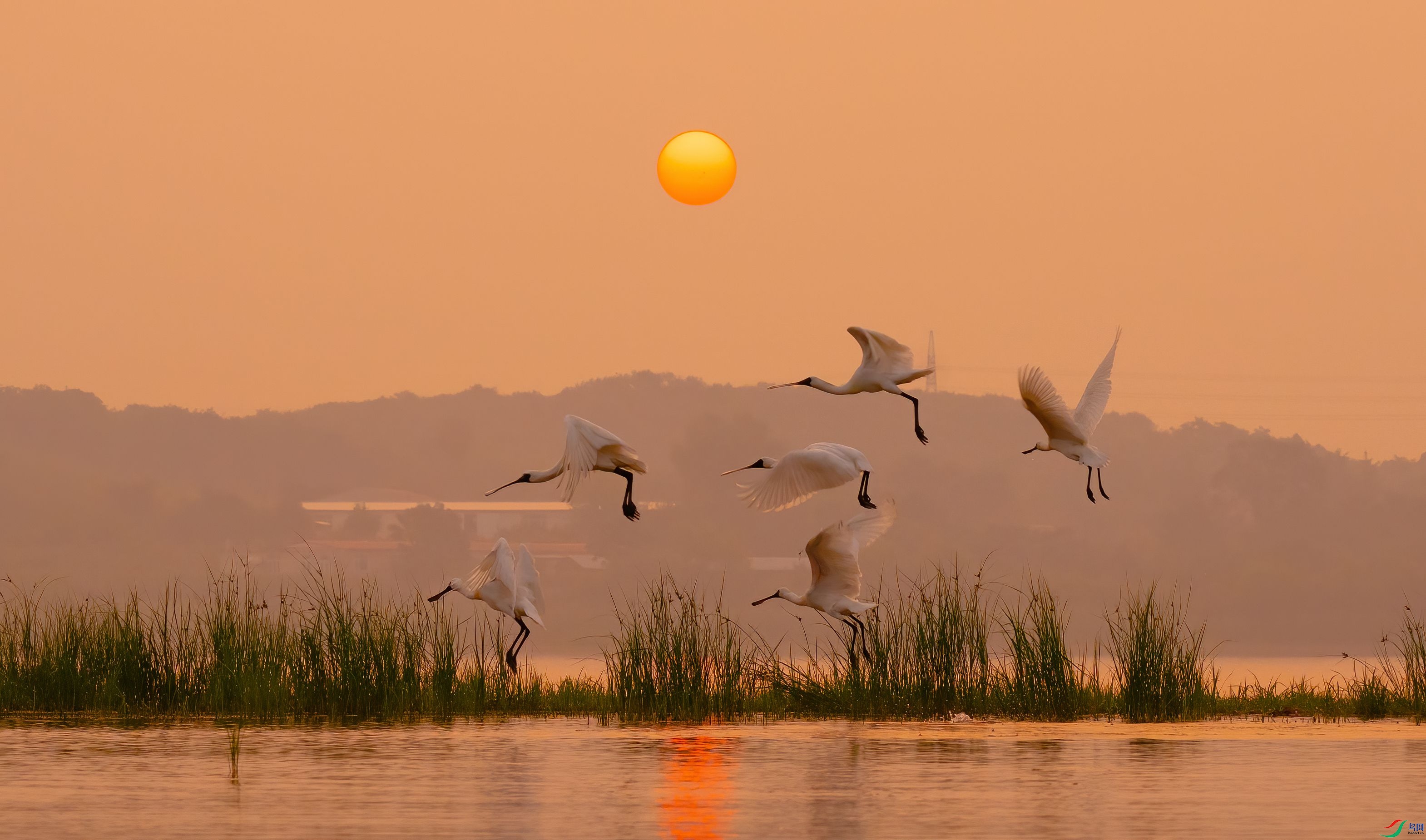 DSC01578 ����_����.jpg