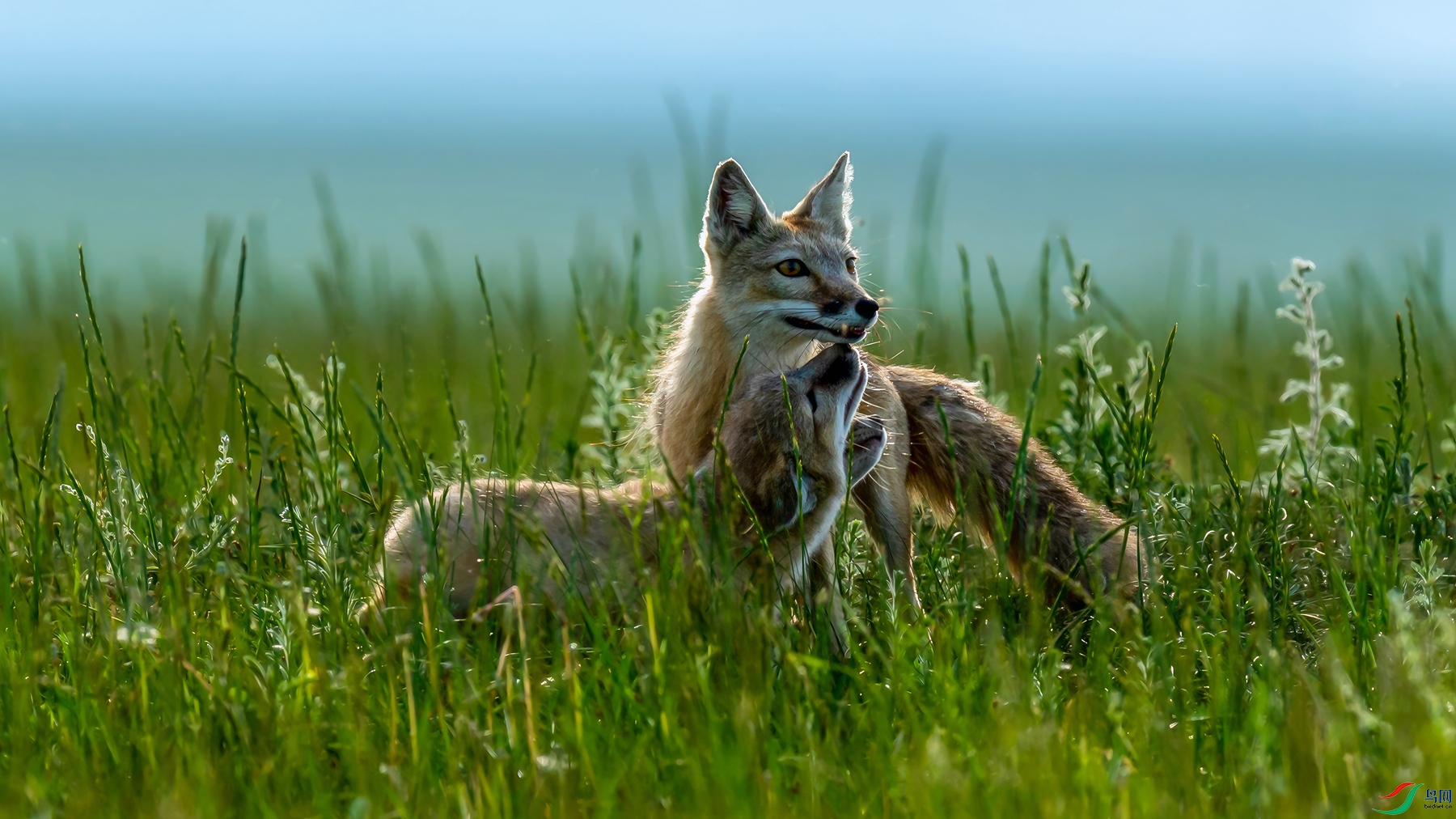 _DSC3290.jpgps4.jpg����_����-topaz-enhance_����.jpg