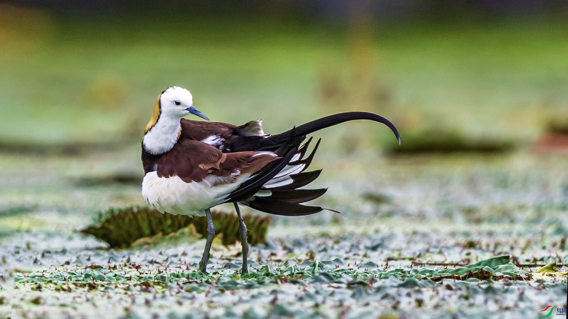 1-2-440 ����.jpeg