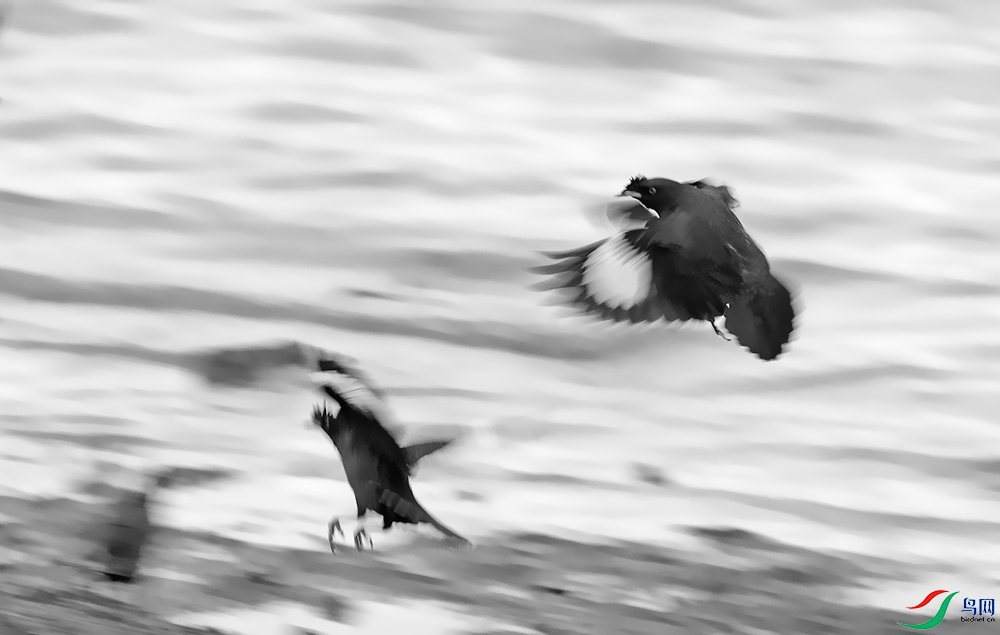DSCF8698.1.jpg