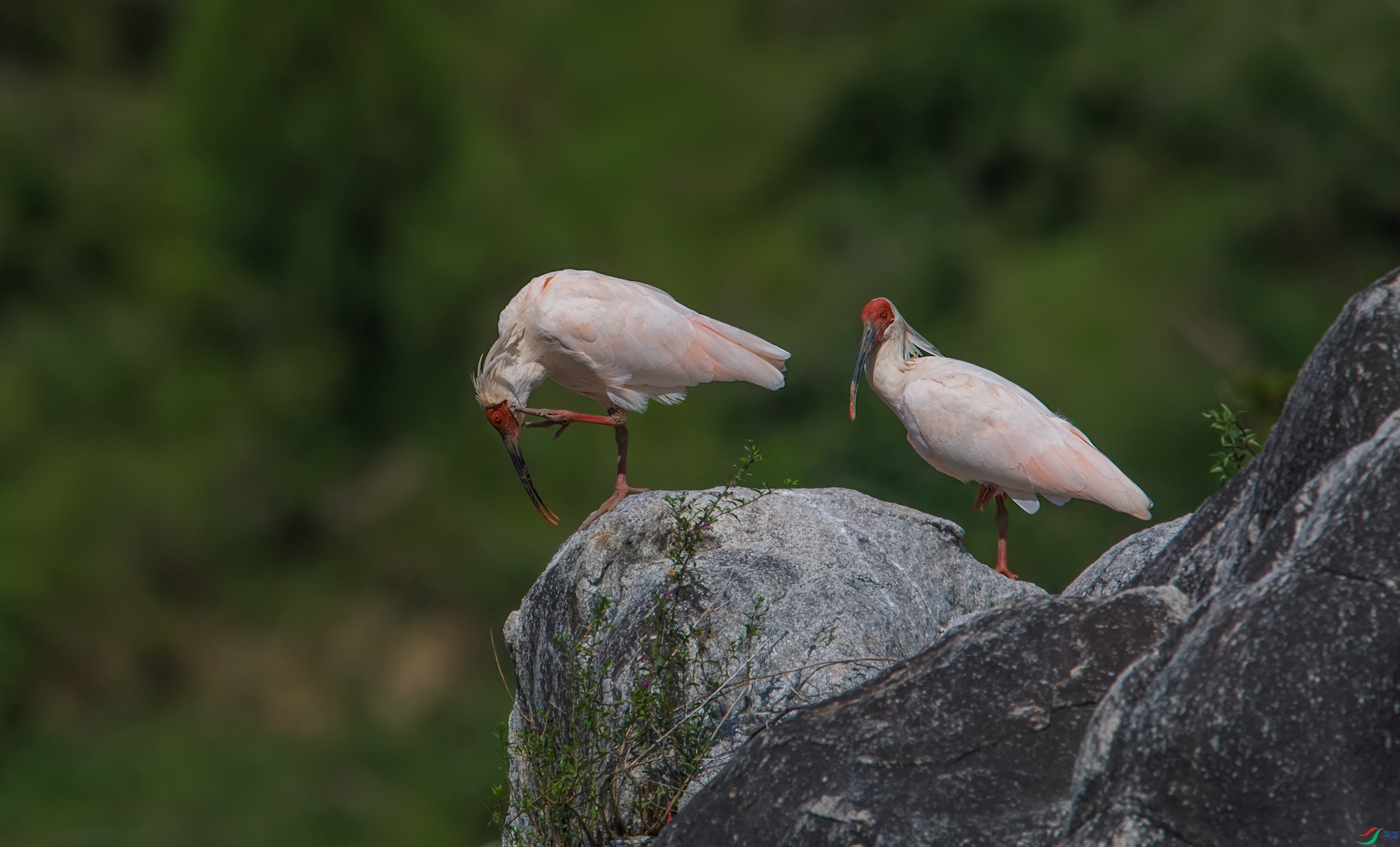 DSC_63531.jpg