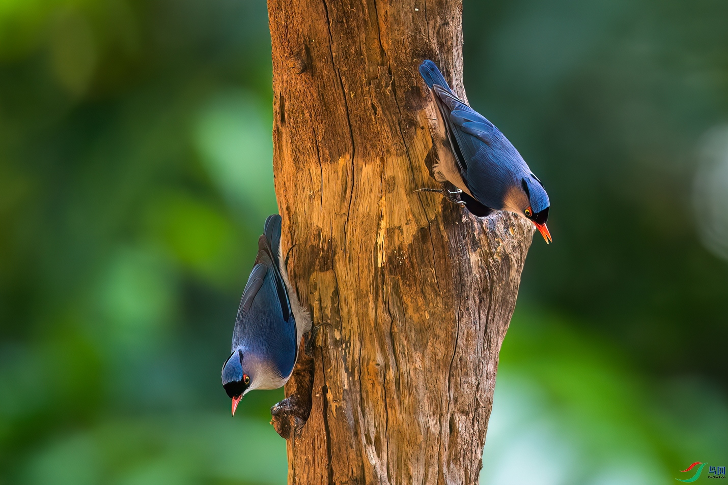 DSC_5838.jpg