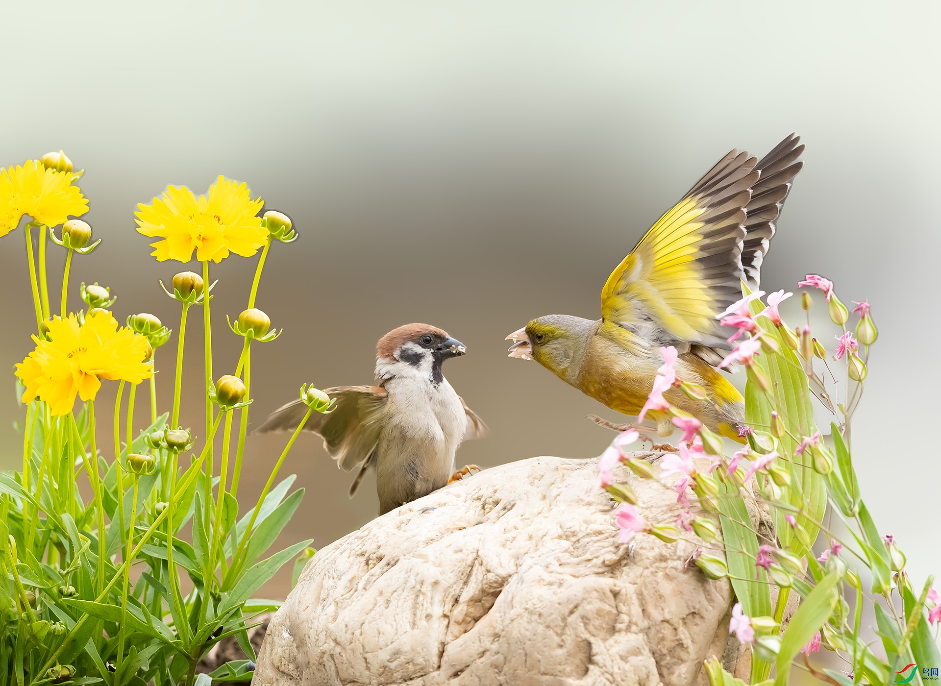 019A2488 ����.jpg