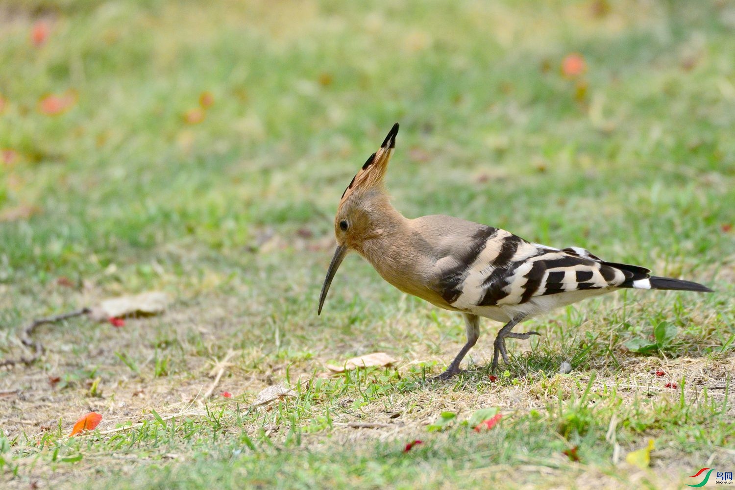 DSC_8012.JPG