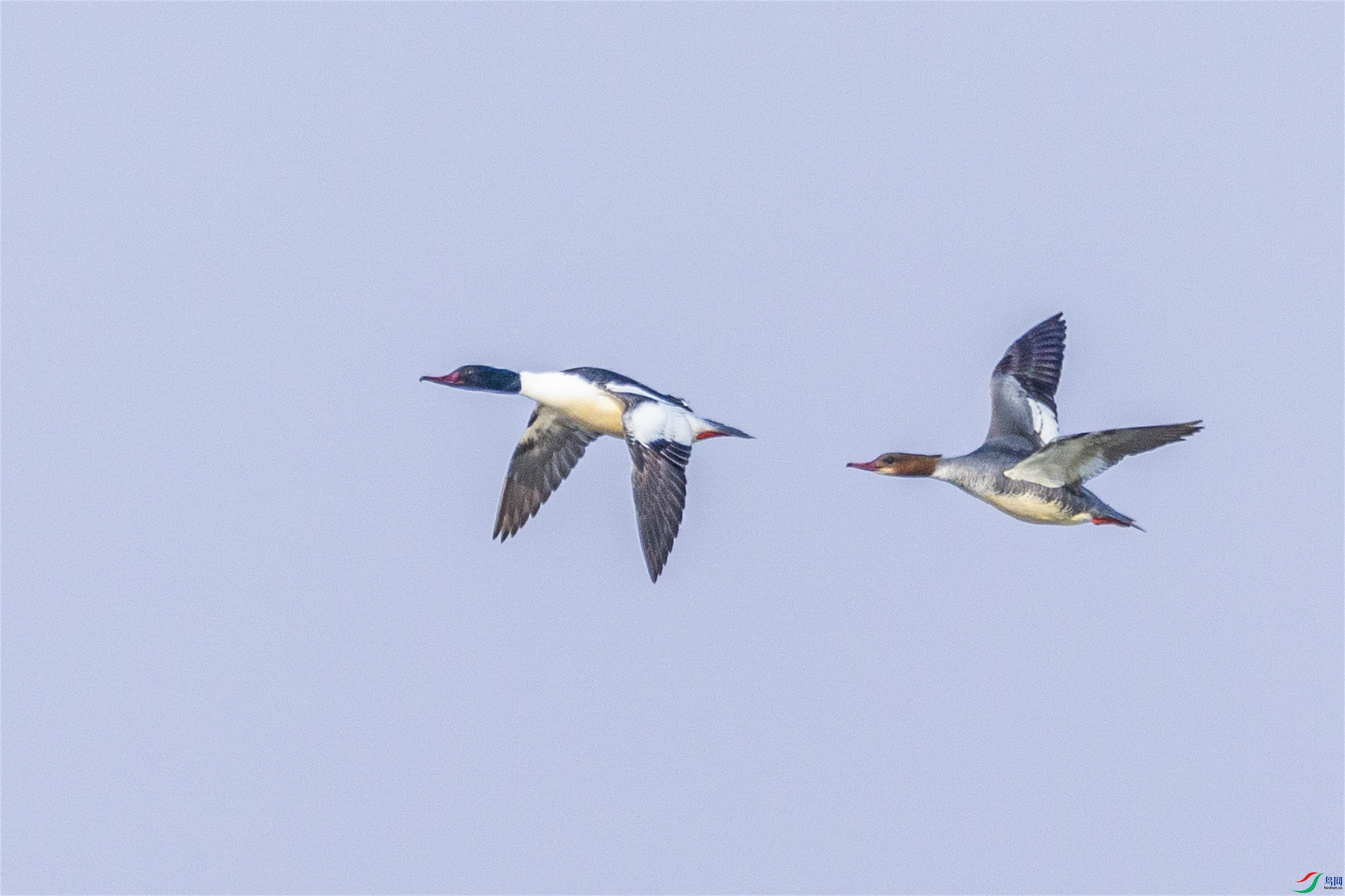 1K3A5822 ����1.jpg