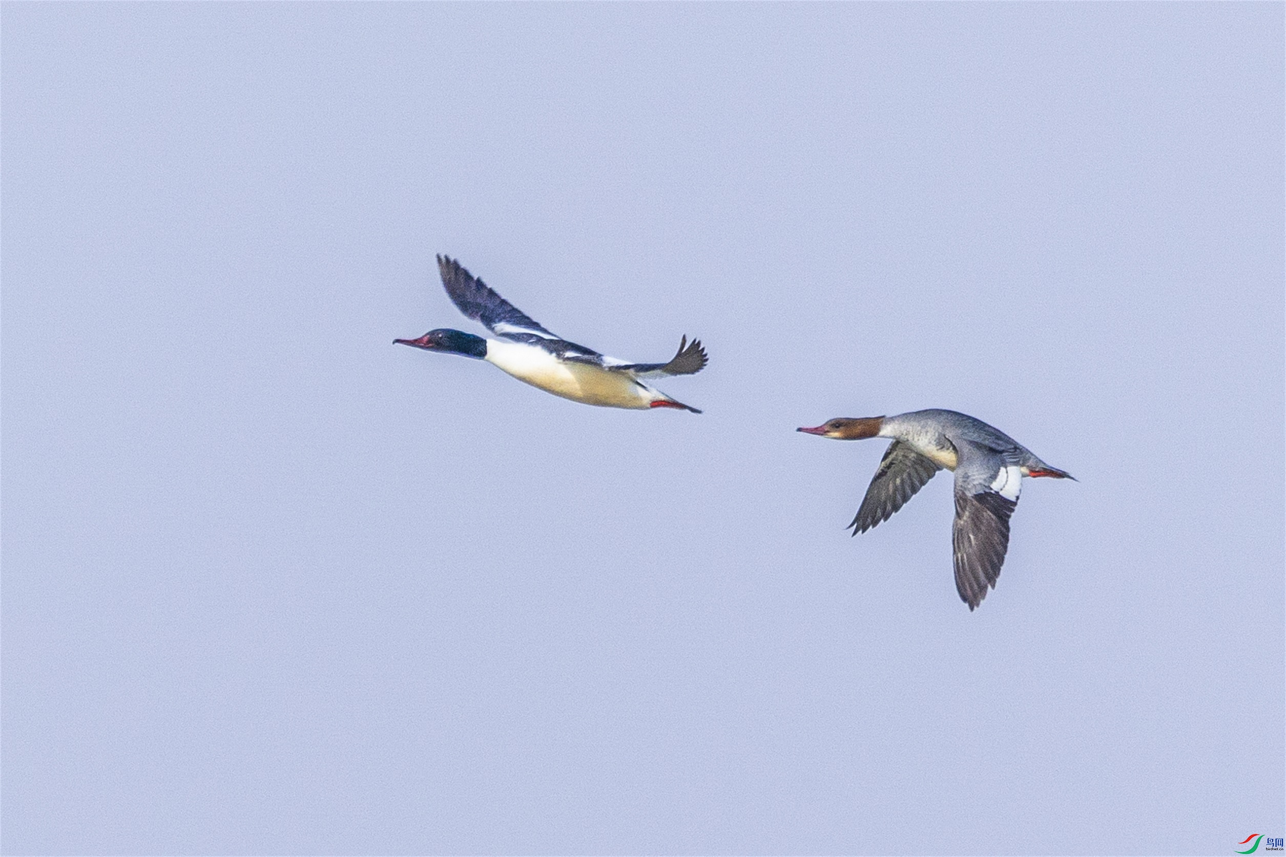 1K3A5821 ����1.jpg