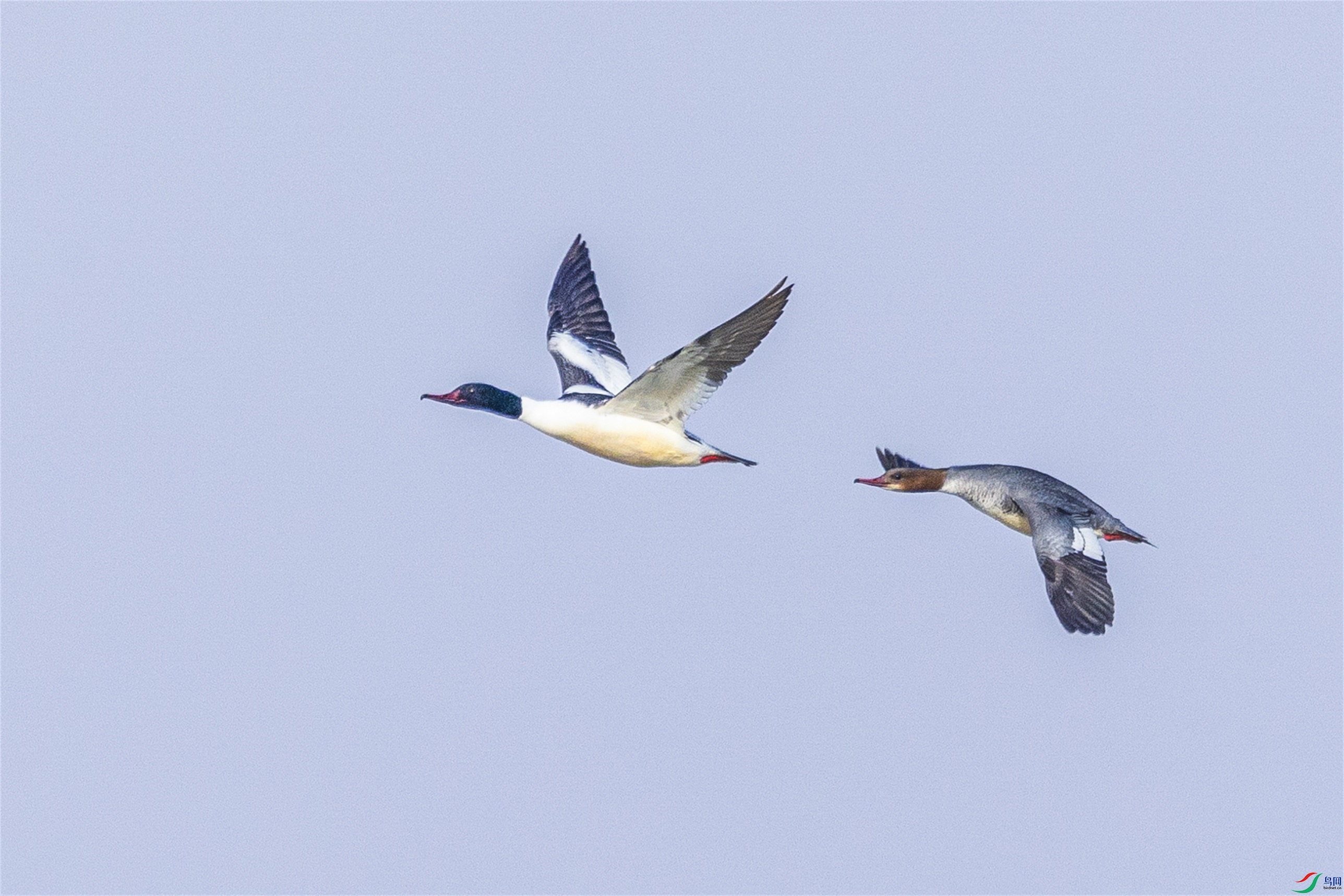 1K3A5823 ����1.jpg