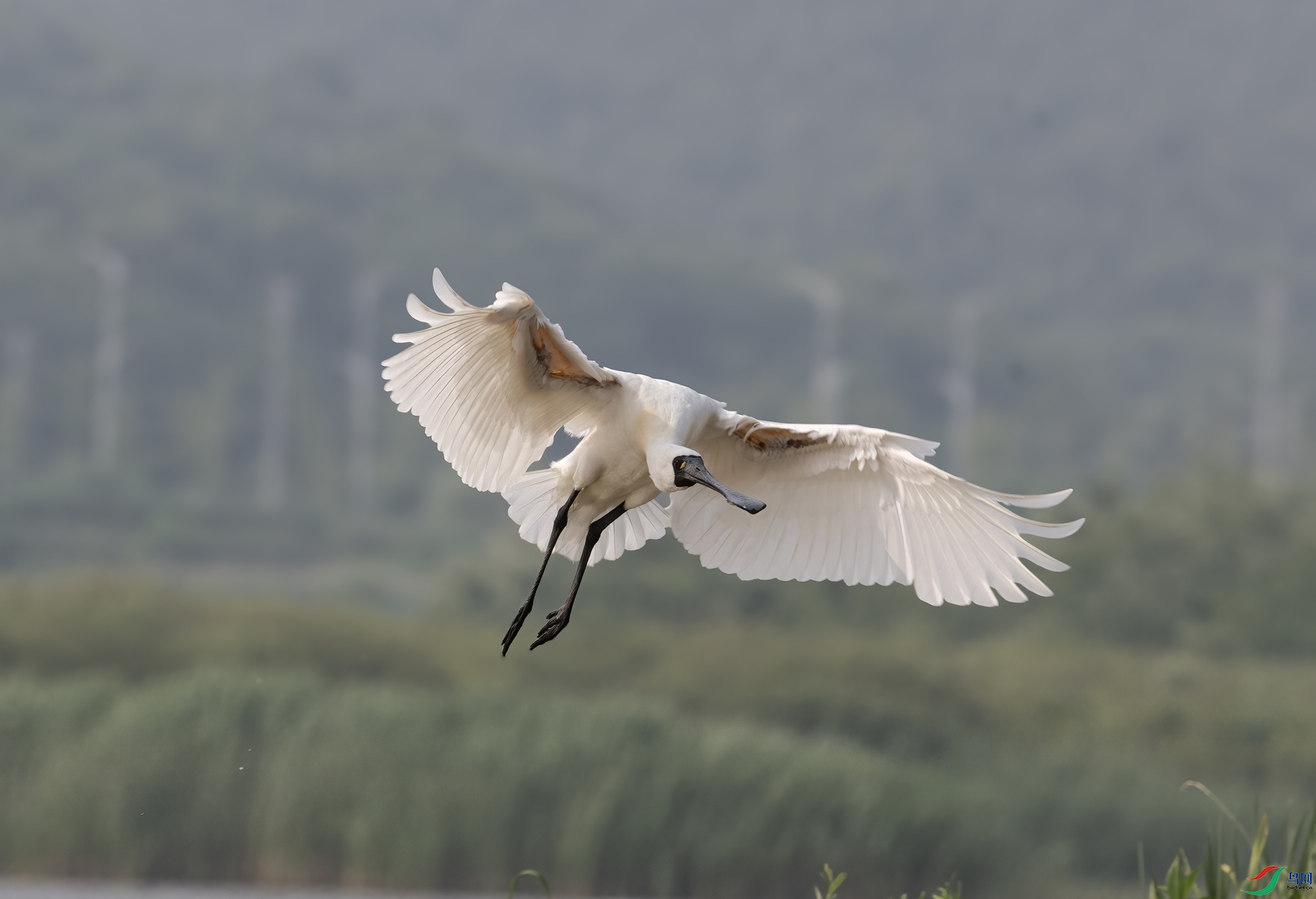 DSC_3552 ����_����.jpg