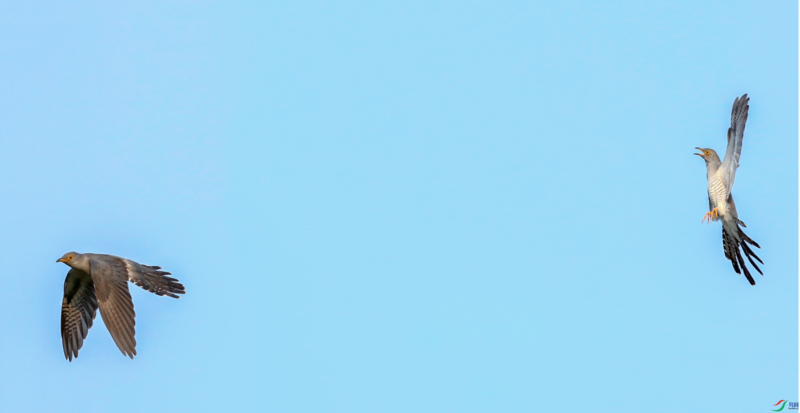 673A4907.JPG