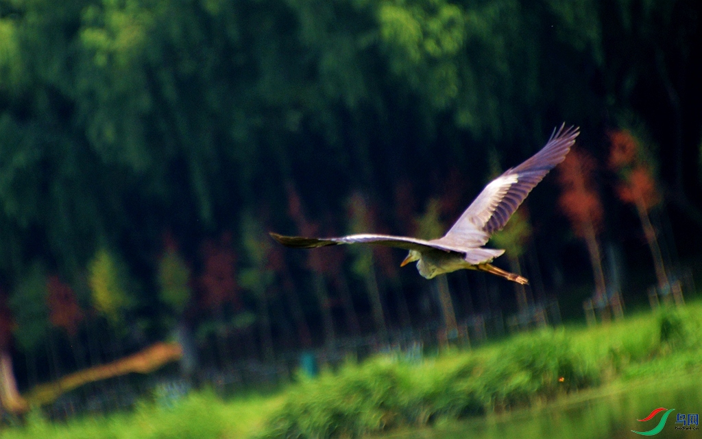 308 (43)_����.jpg