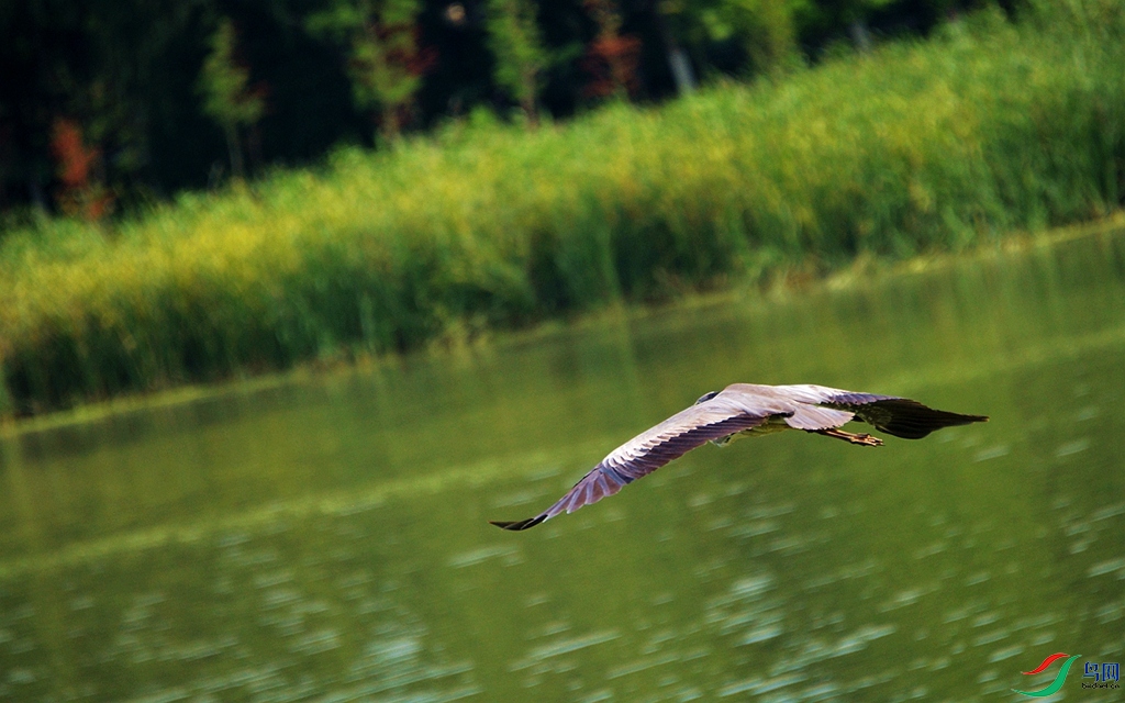 308 (42)_����.jpg