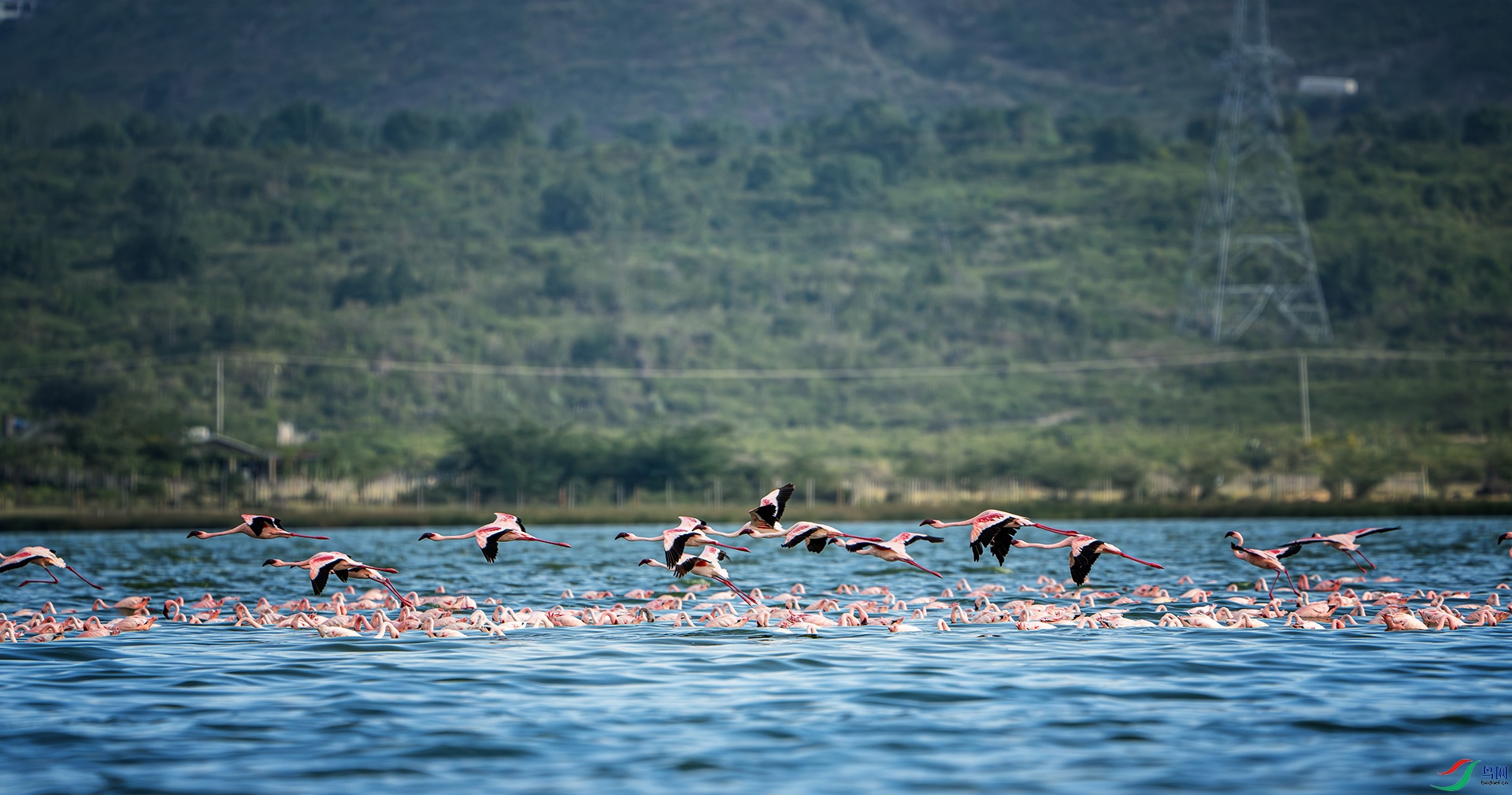 _DSC2924-����ǿ-NR ����.jpg