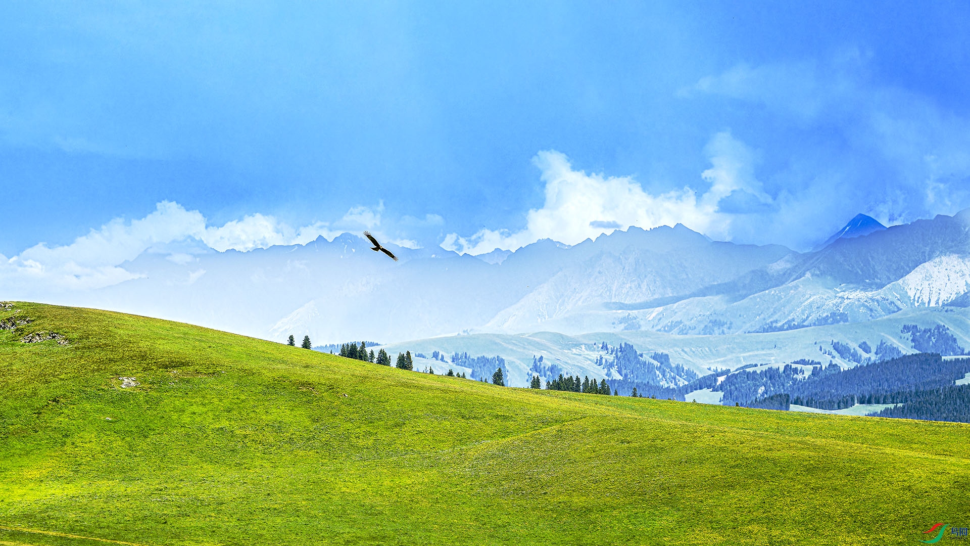 _CYG9314-NEF_DxO_DeepPRIMEXD ����11.jpg