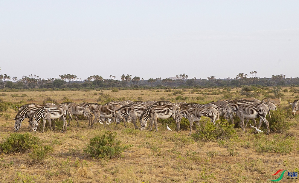 ���� (3).jpg