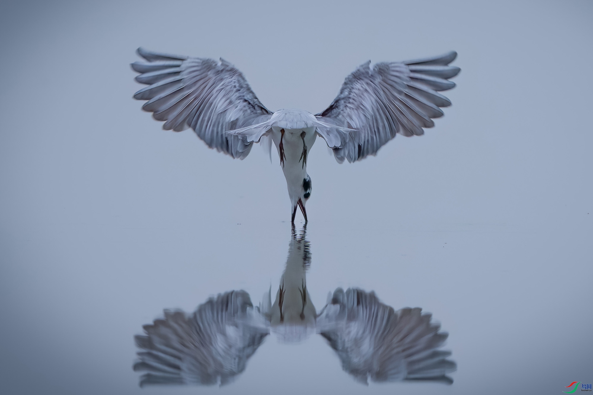 ��Ÿ����