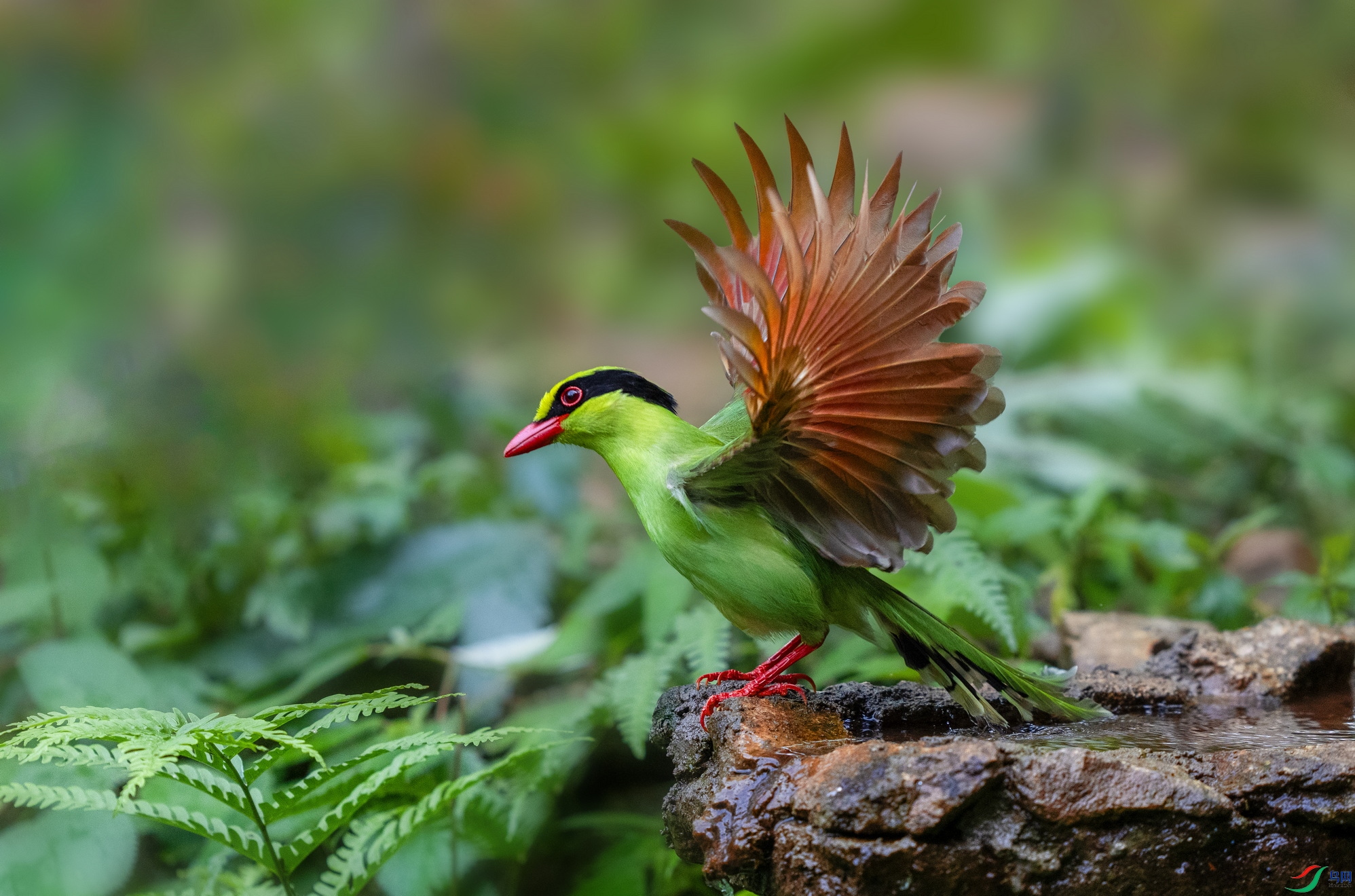 _DSC6108 ����չ��.jpgx.jpg