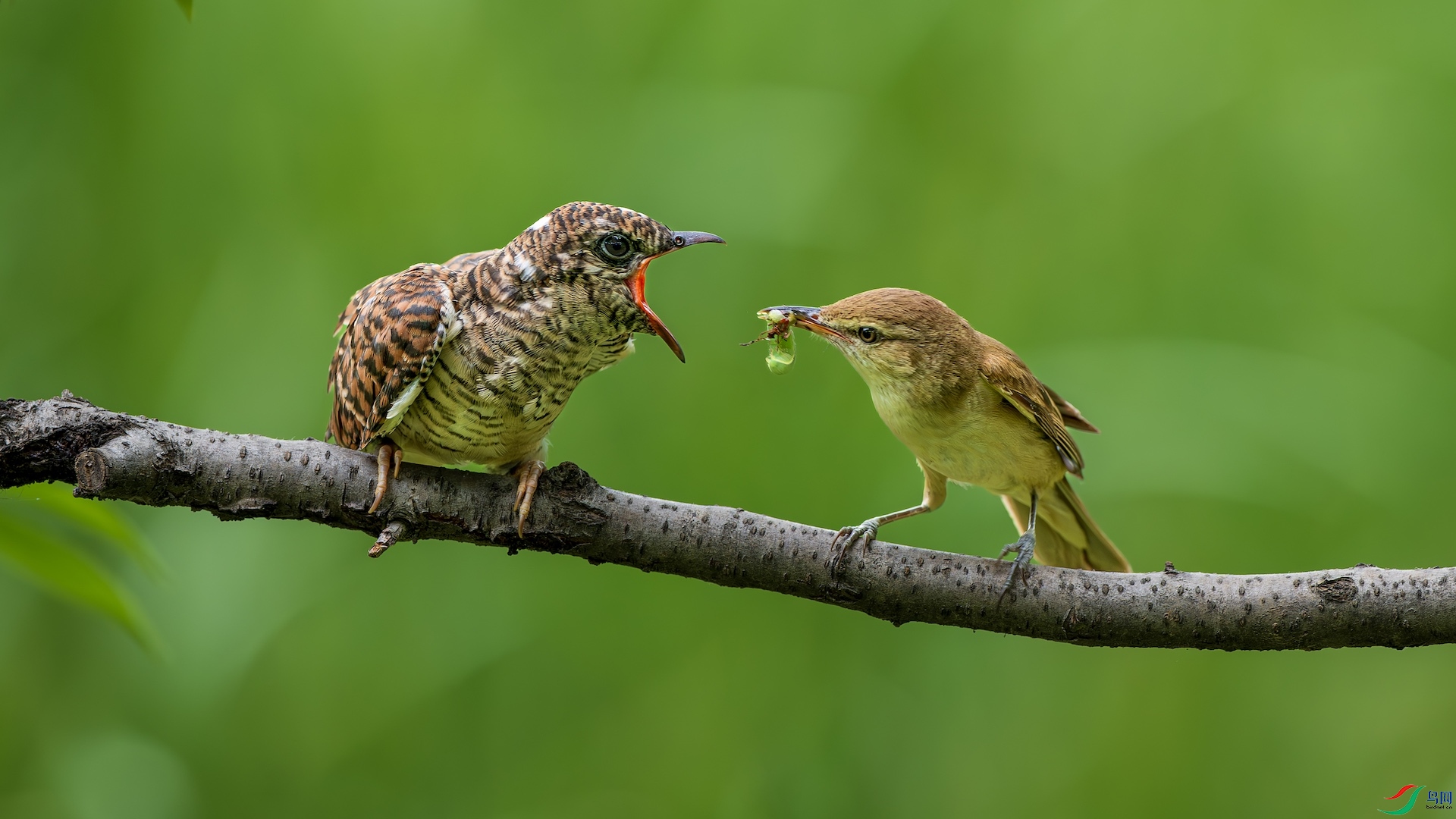 1_DSC2559-����ǿ-NR ����.jpeg