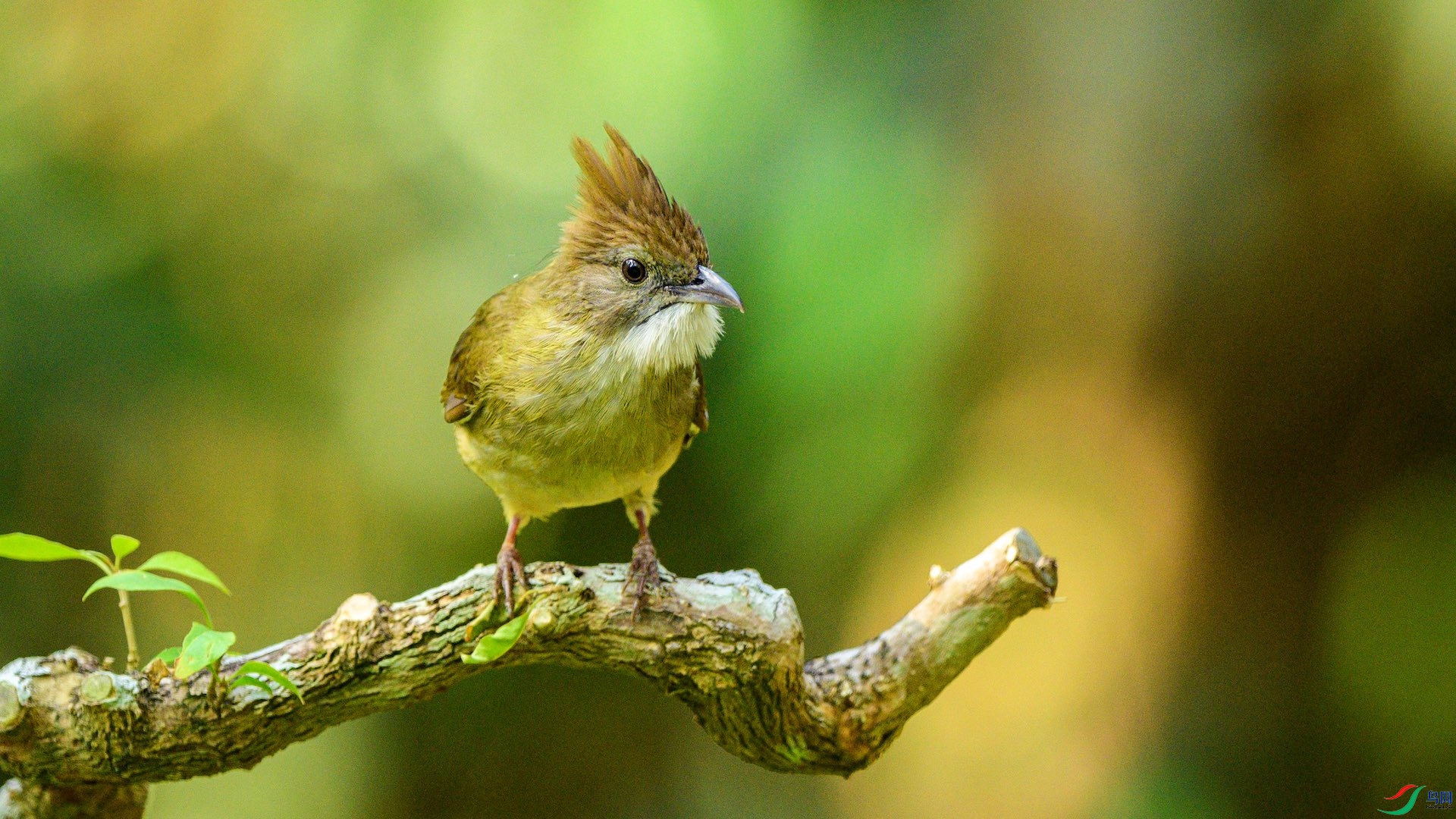 1_DSC0623 ����.jpeg