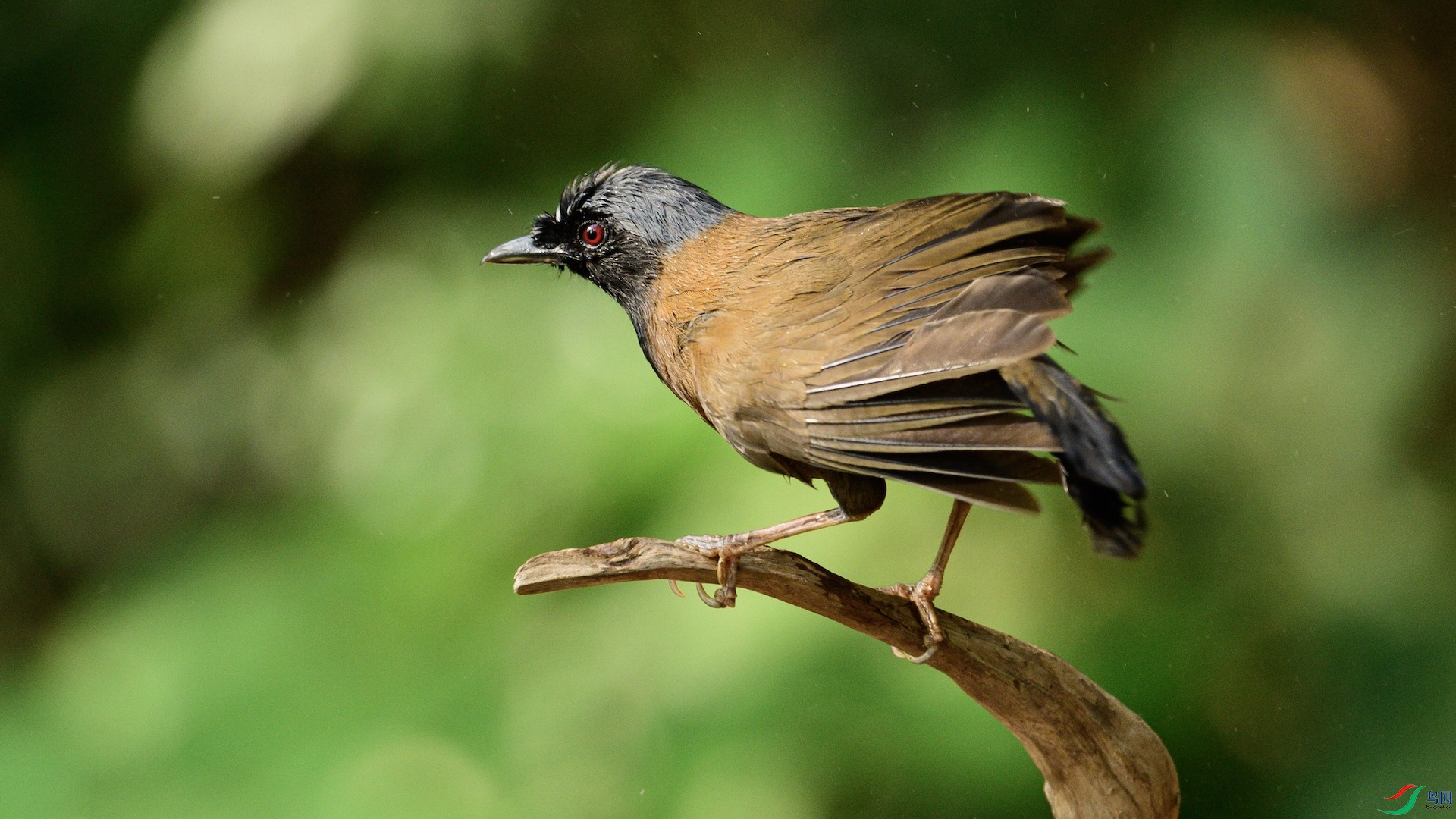 1_DSC0846 ����.jpeg