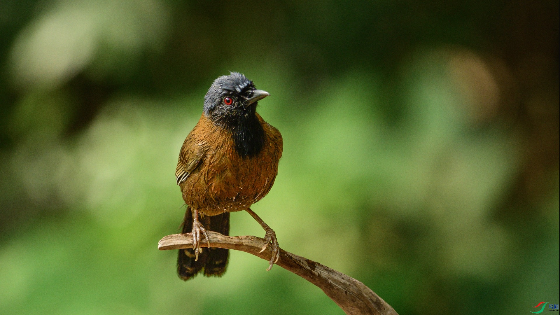 1_DSC0862 ����.jpeg