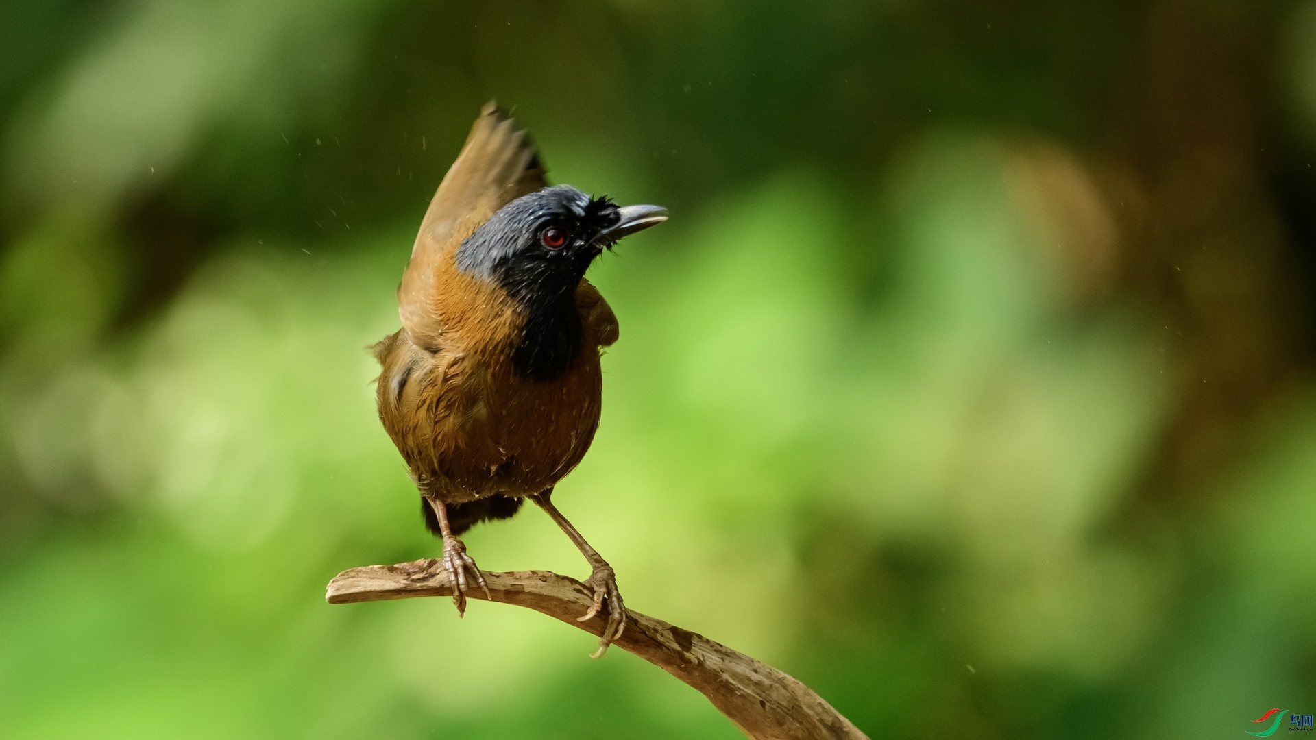 1_DSC0874 ����.jpeg