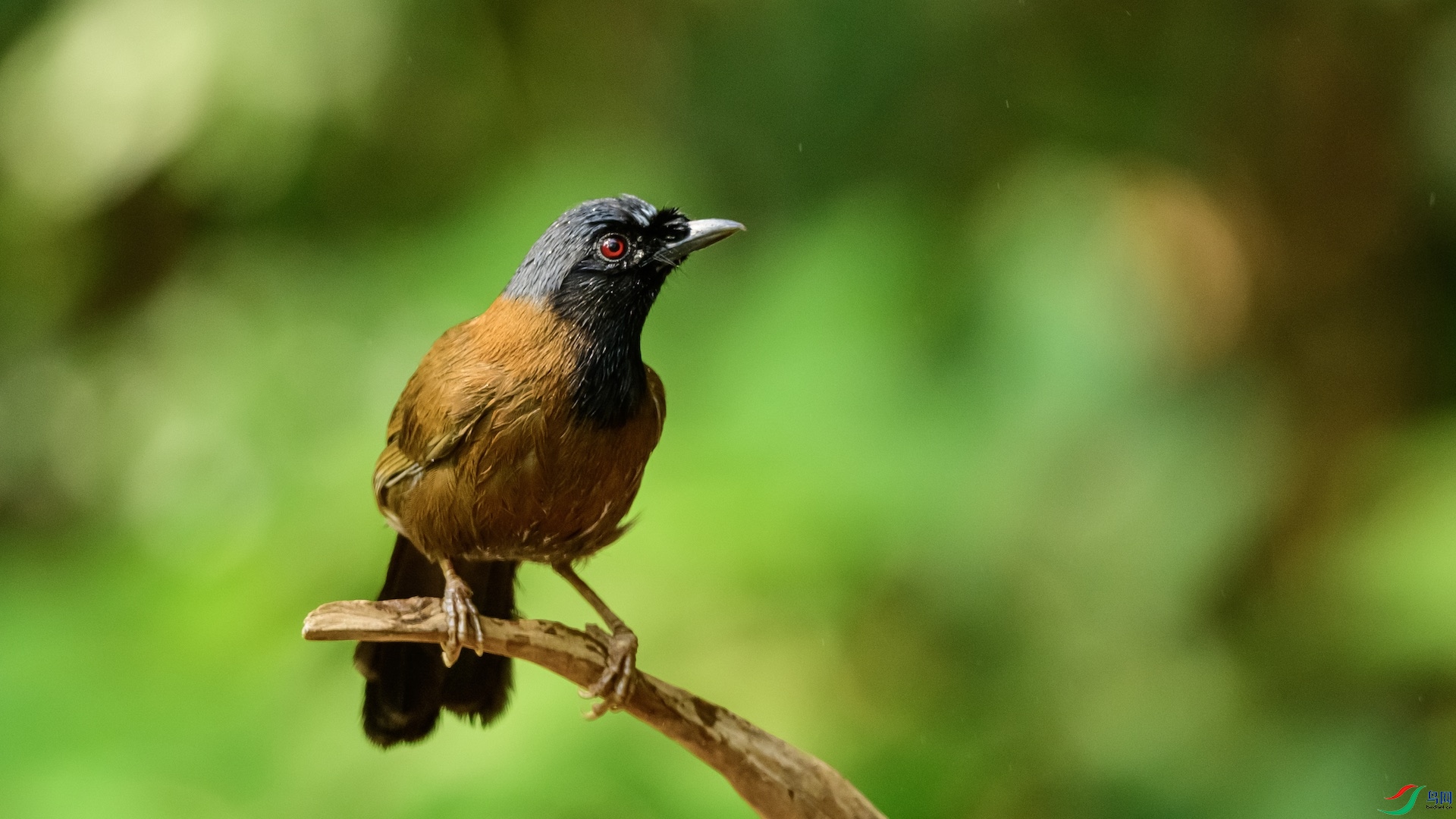 1_DSC0886 ����.jpeg