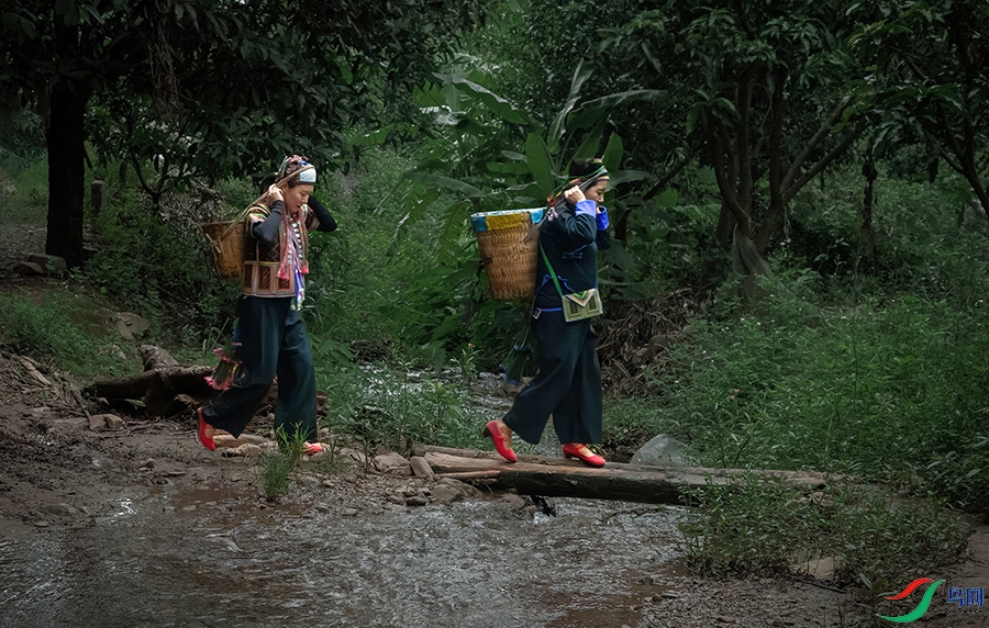 IMG_7885 ����.jpg