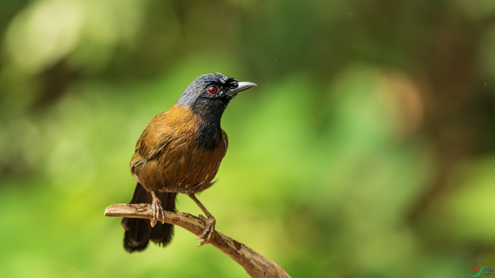 1_DSC0886-����ǿ-NR �����ĸ���.jpeg