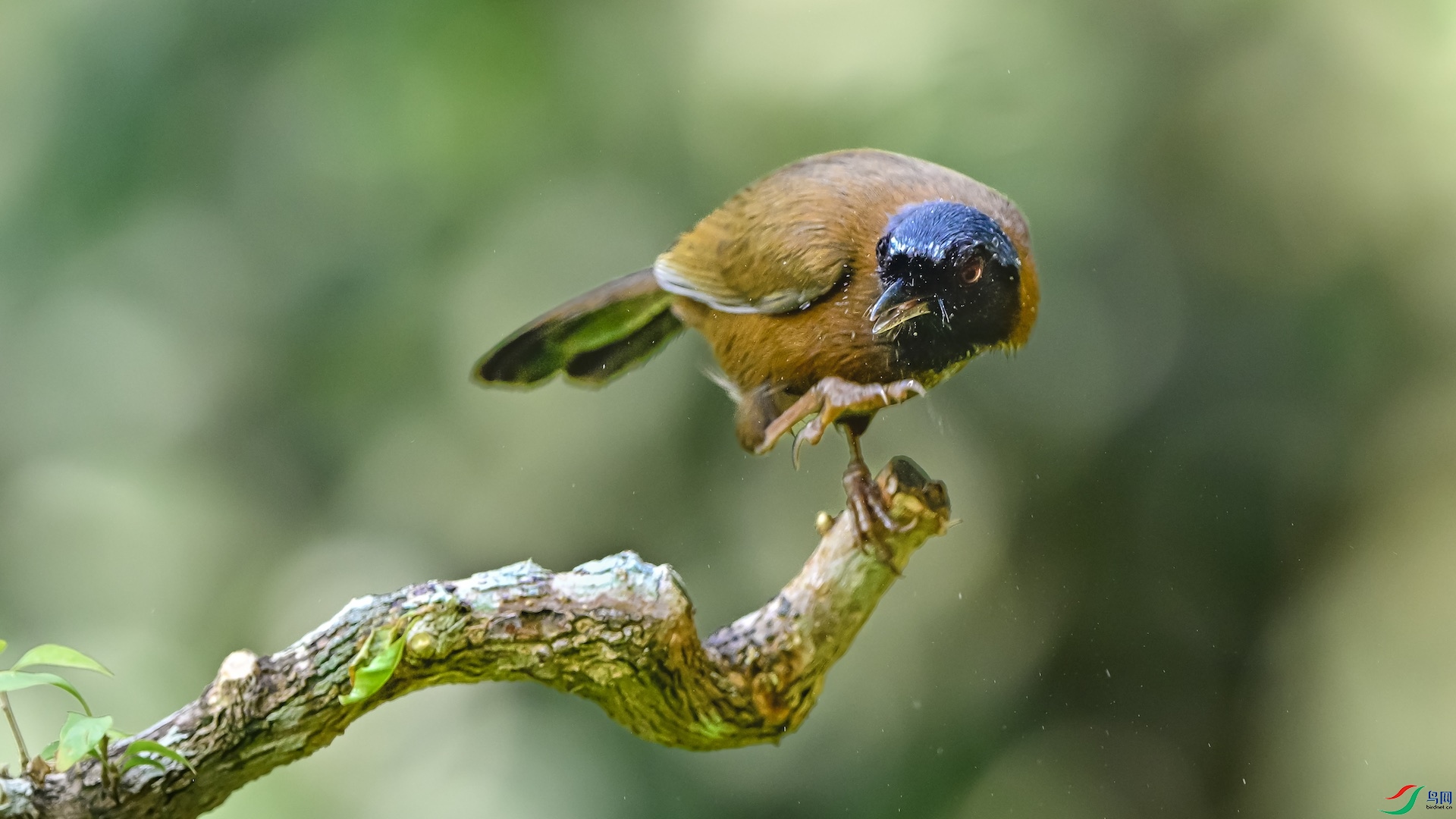 1_DSC0995 ����.jpeg