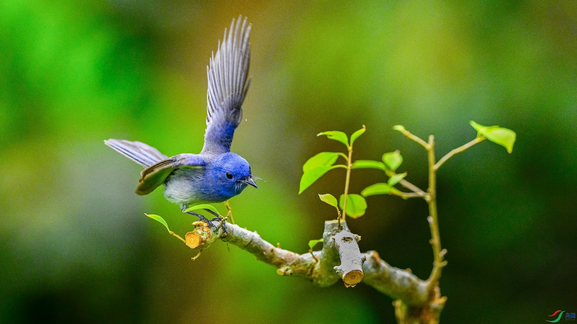 1_XXL3344 ����.jpeg