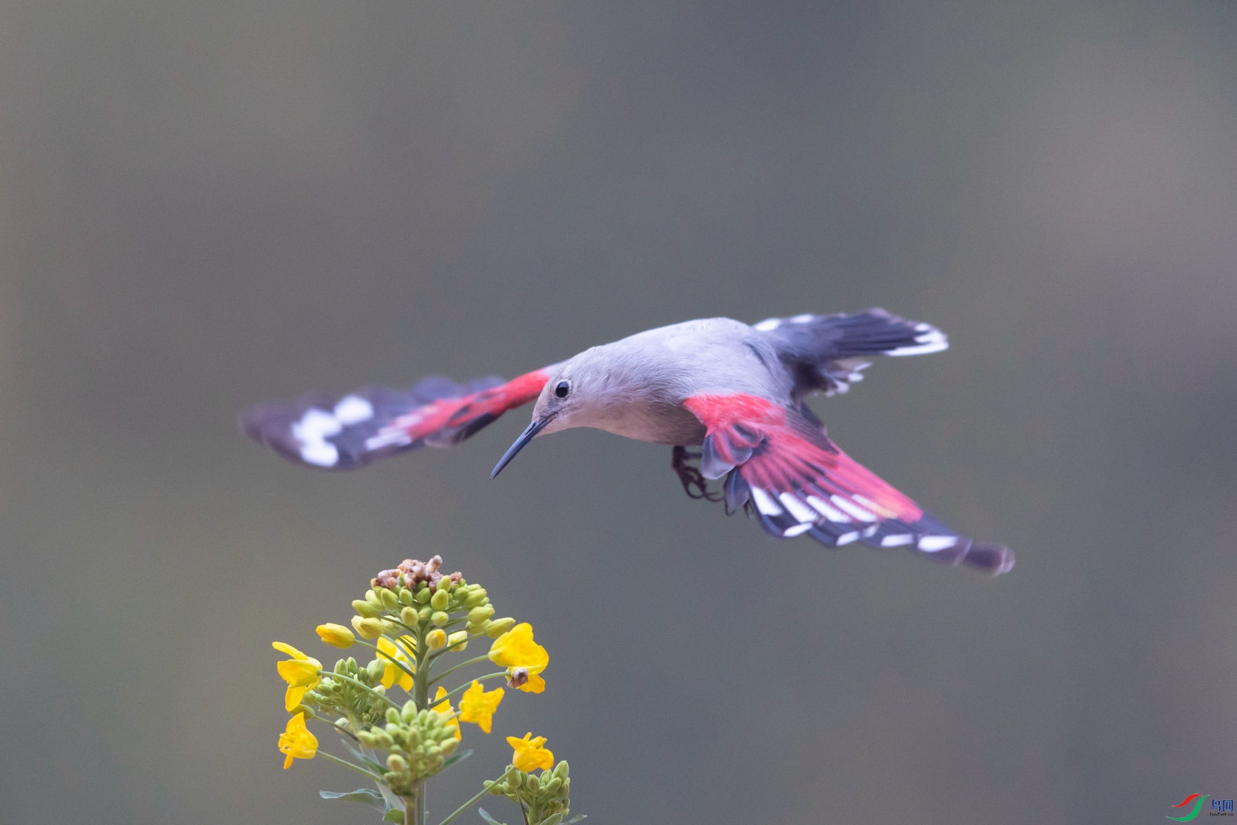 �������ȸ