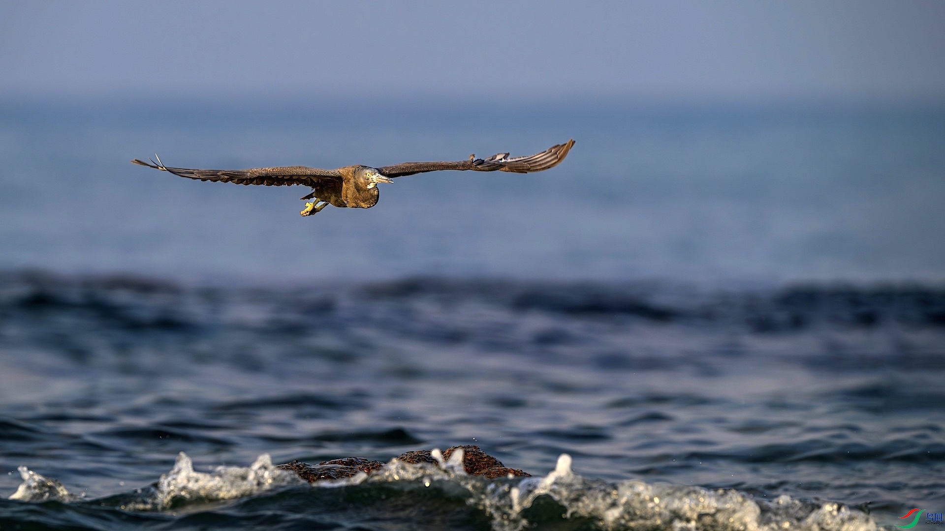 1_XXL8991-����ǿ-NR ���� 2.jpeg