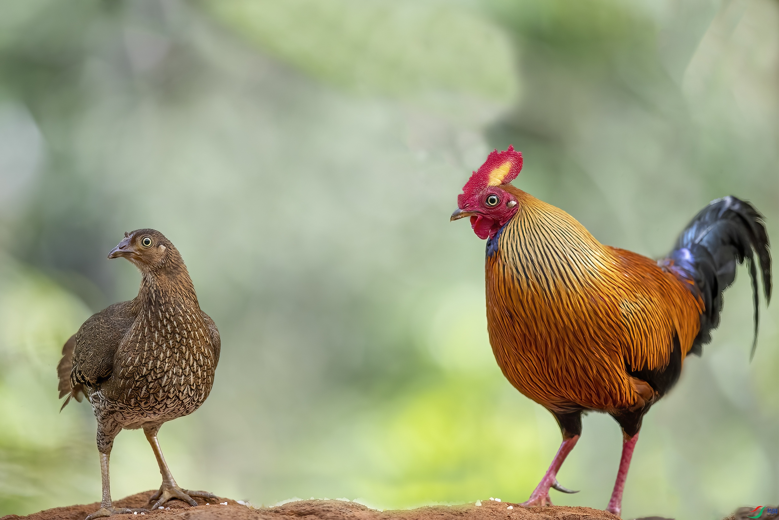 AC3I7878 ���� 2.jpg