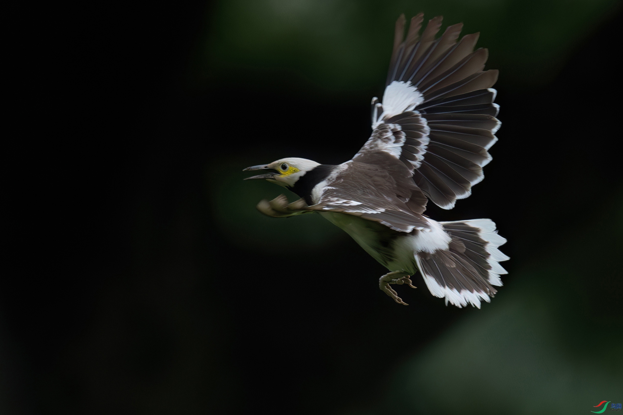 DSC_7879.jpg