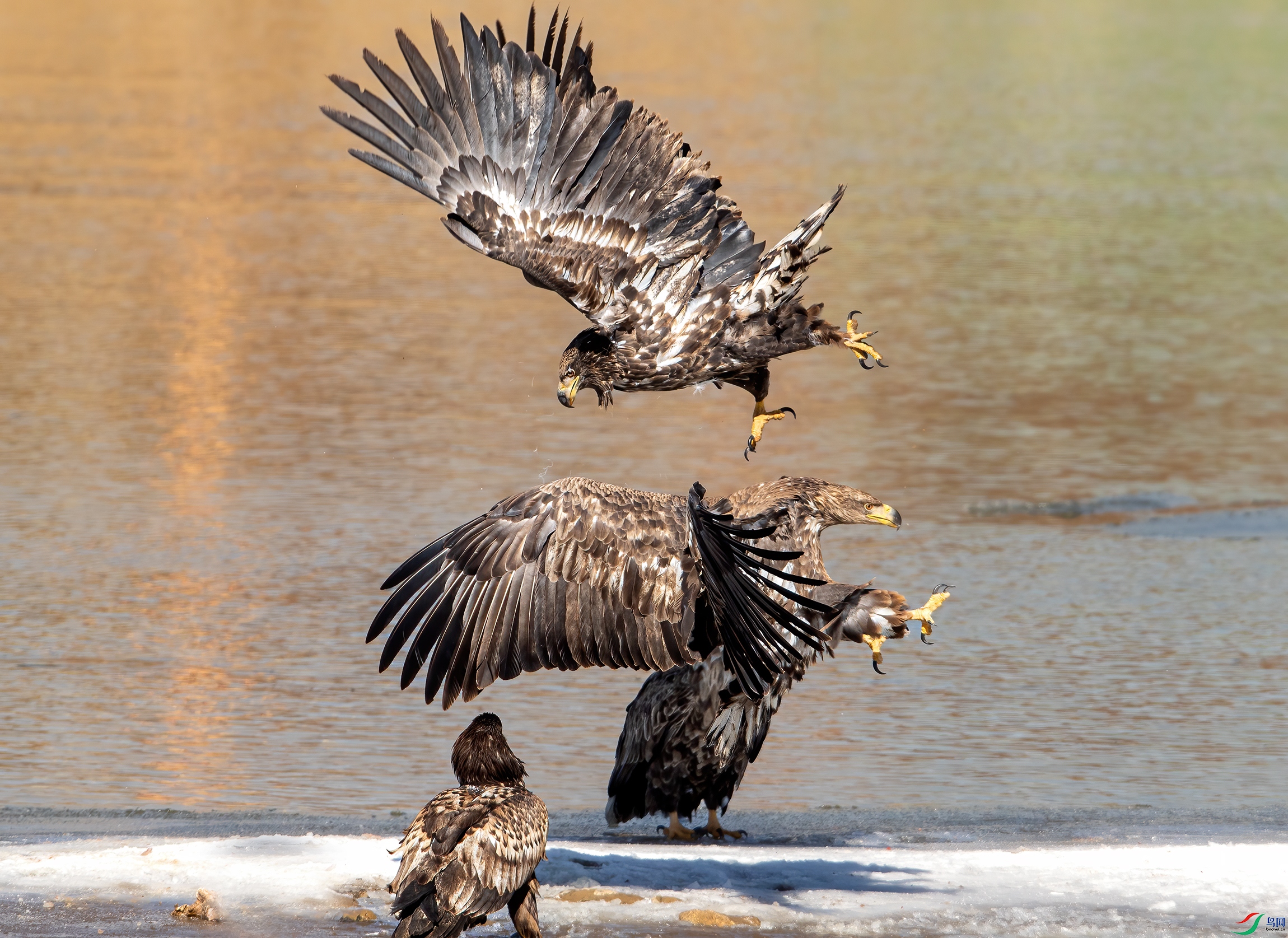 3S5A1646 ����.jpg