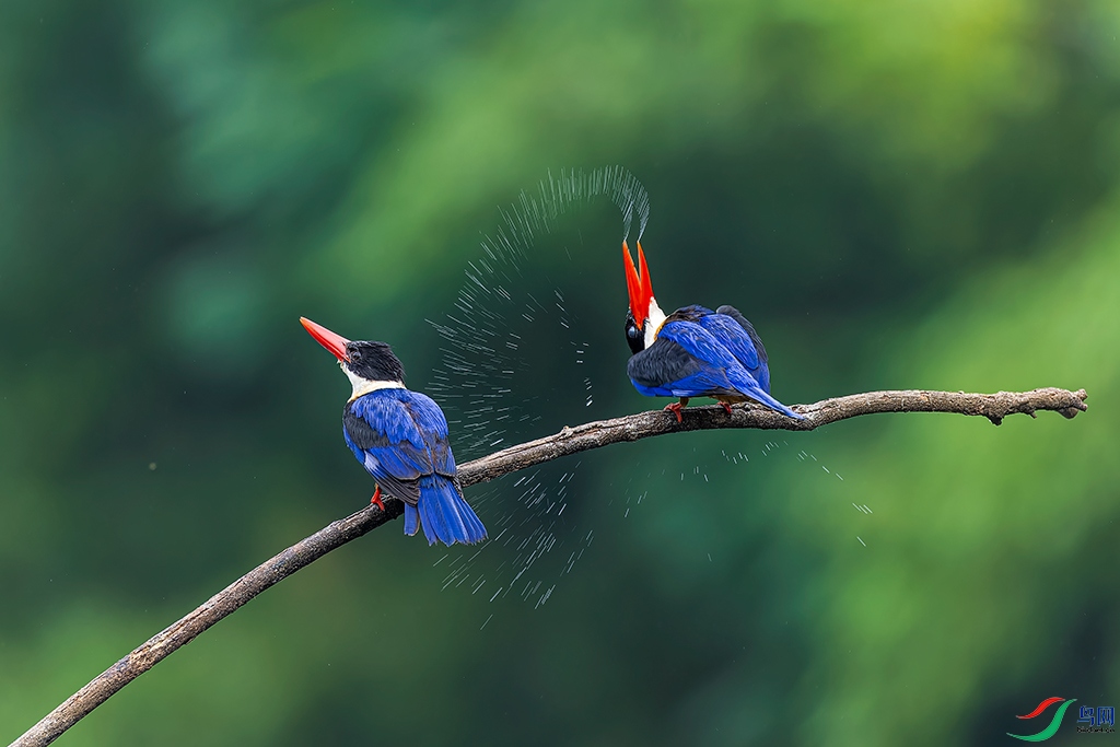 hbhaR230624 (517)_DxO.jpg